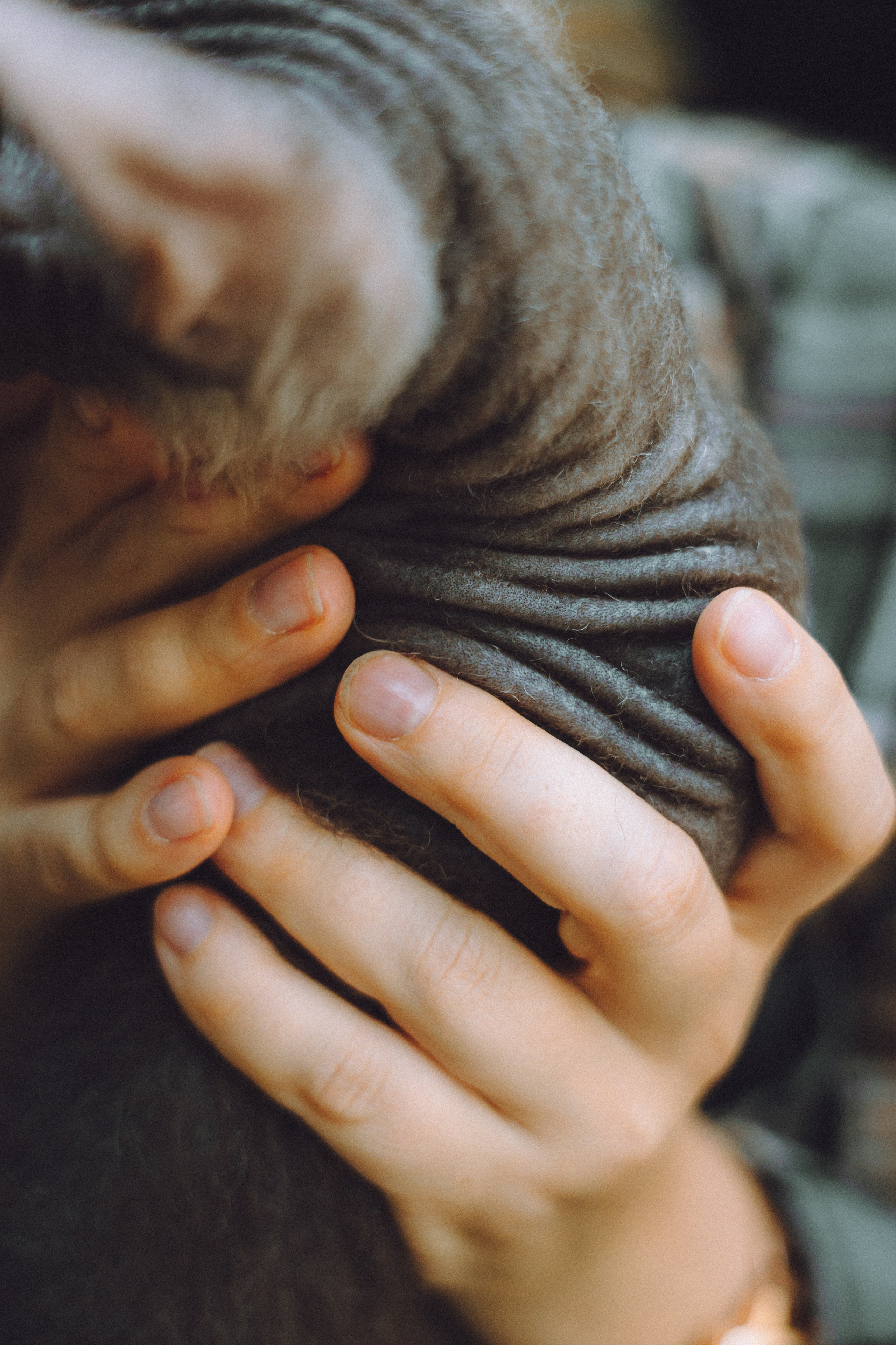 Кокос, Света, Динара и Вилли