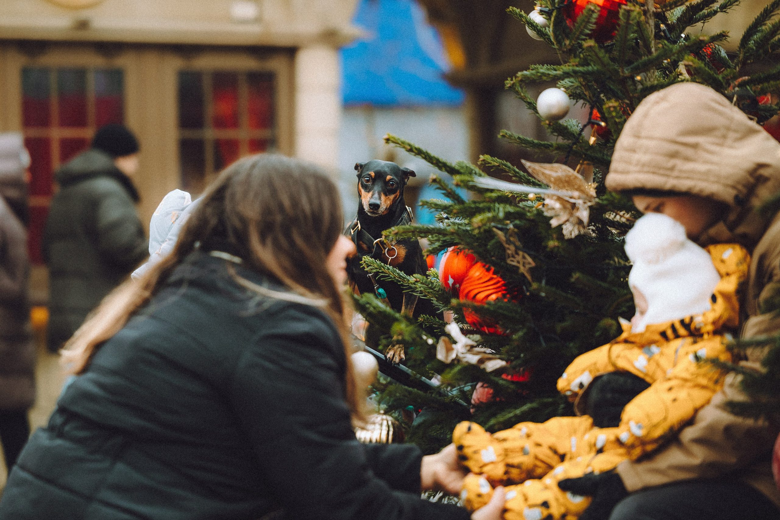 Топик и его семья