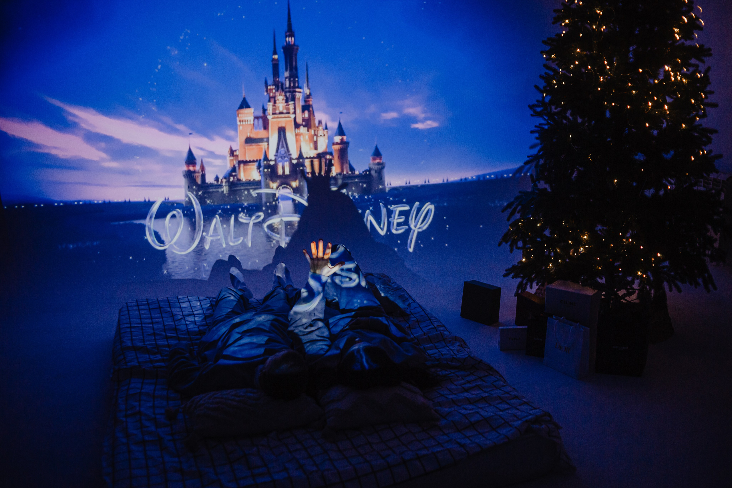 Теплая, с проектором. Фотограф Брянск