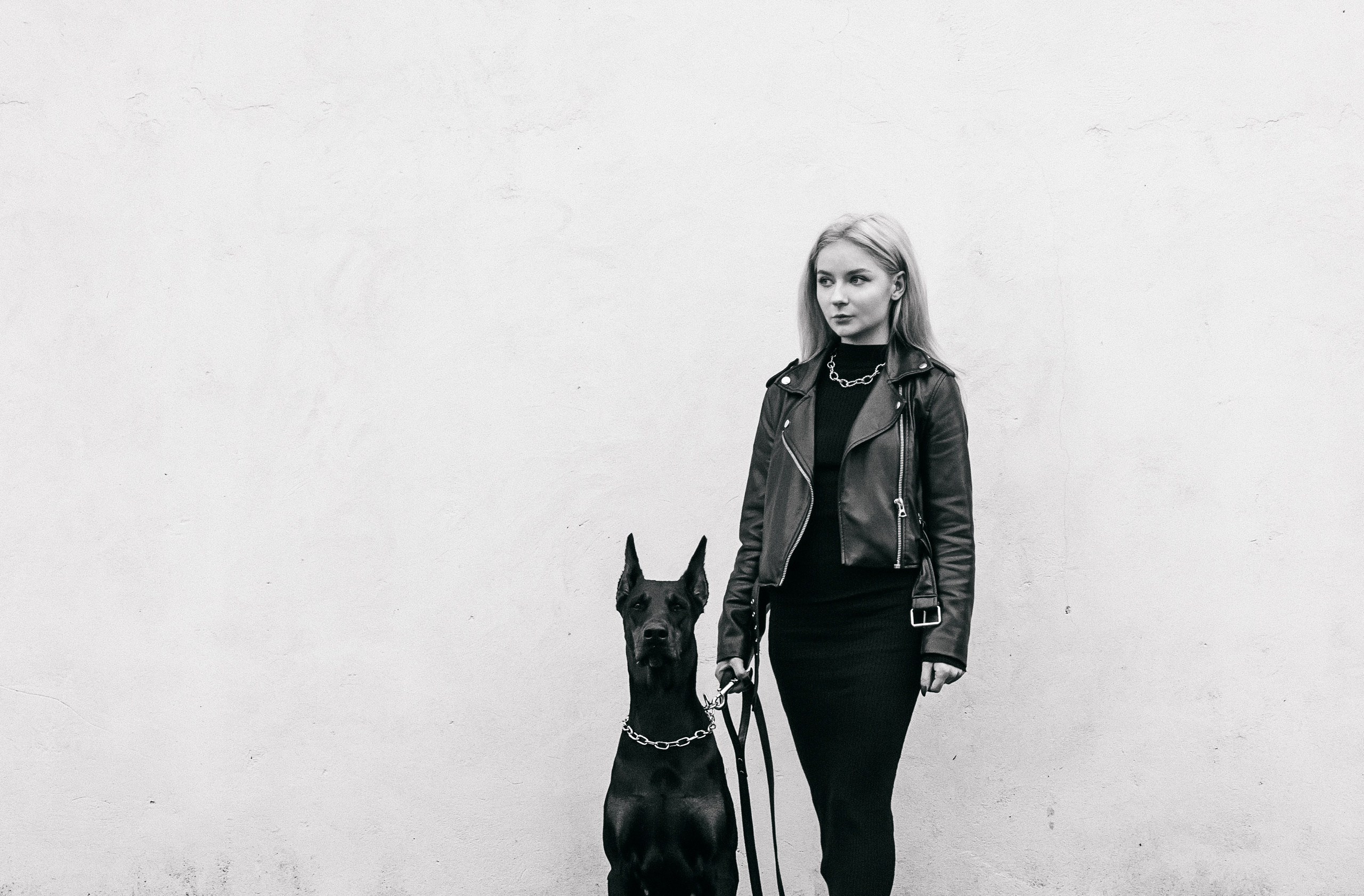 черно белая съемка, доберман аренда москва, необычная съёмка москва