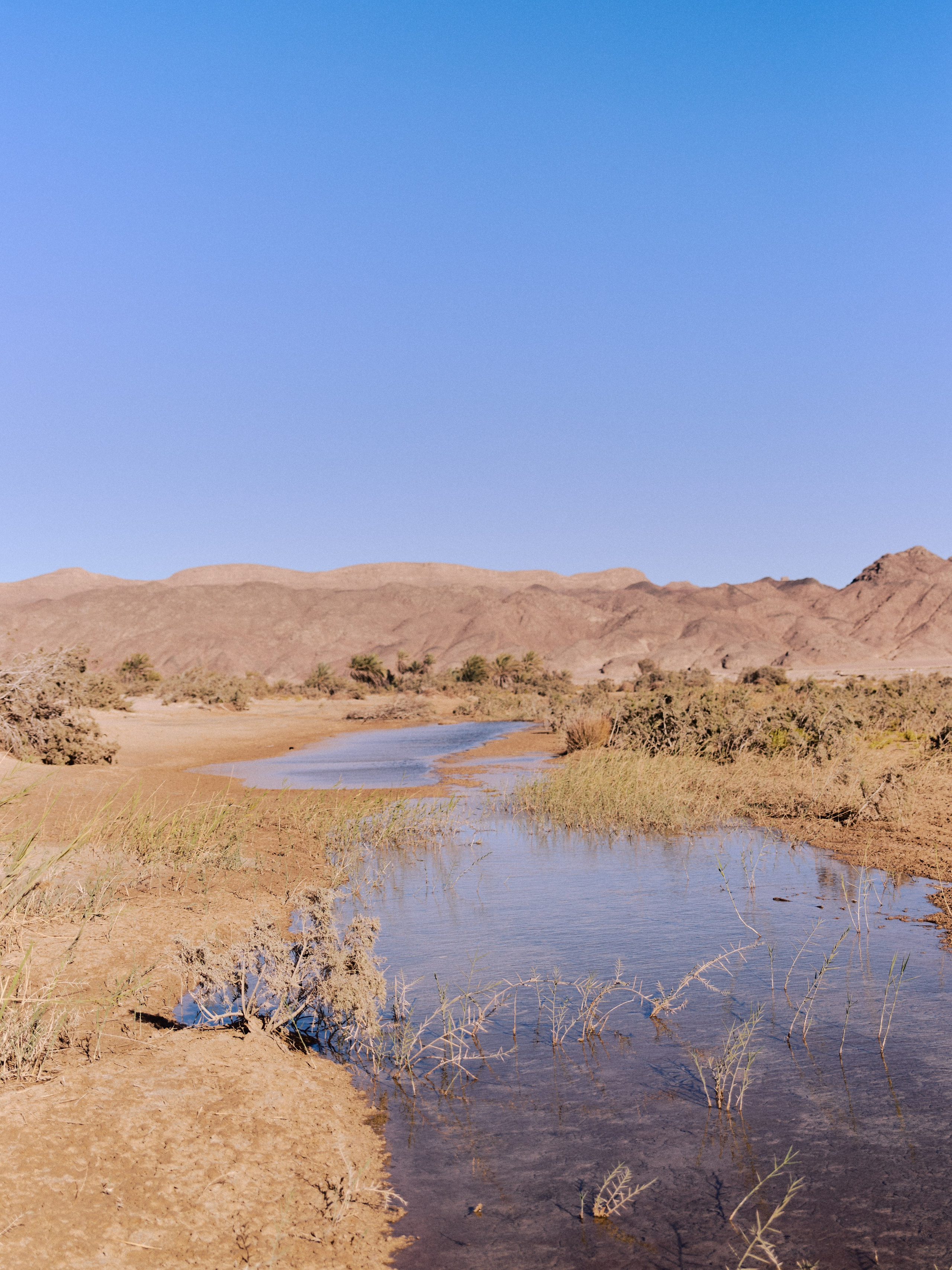 Диптих. Jorgis — фотограф в Хургаде / обучение фотографии