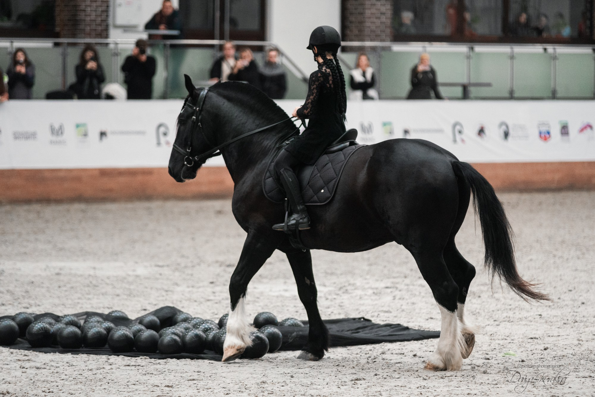 8-я международная выставка Конная Россия. Конный фотограф Куракина Дарья • Фотосессии с лошадьми