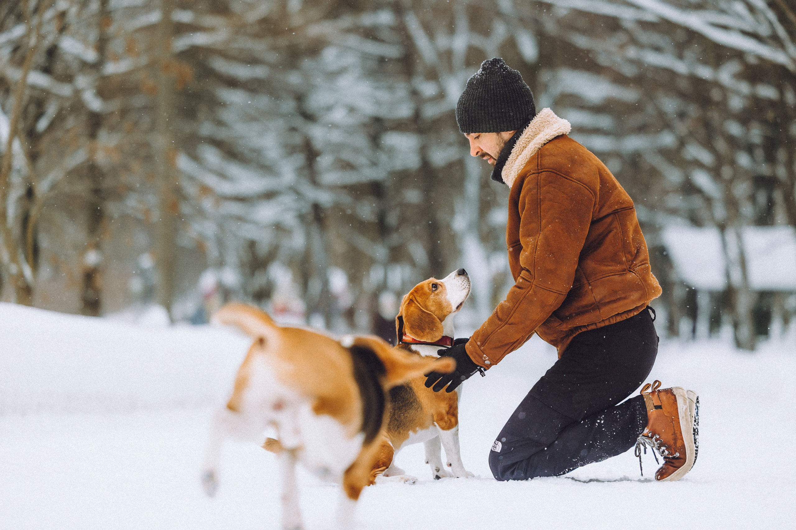 Роман, Портер и Коррес