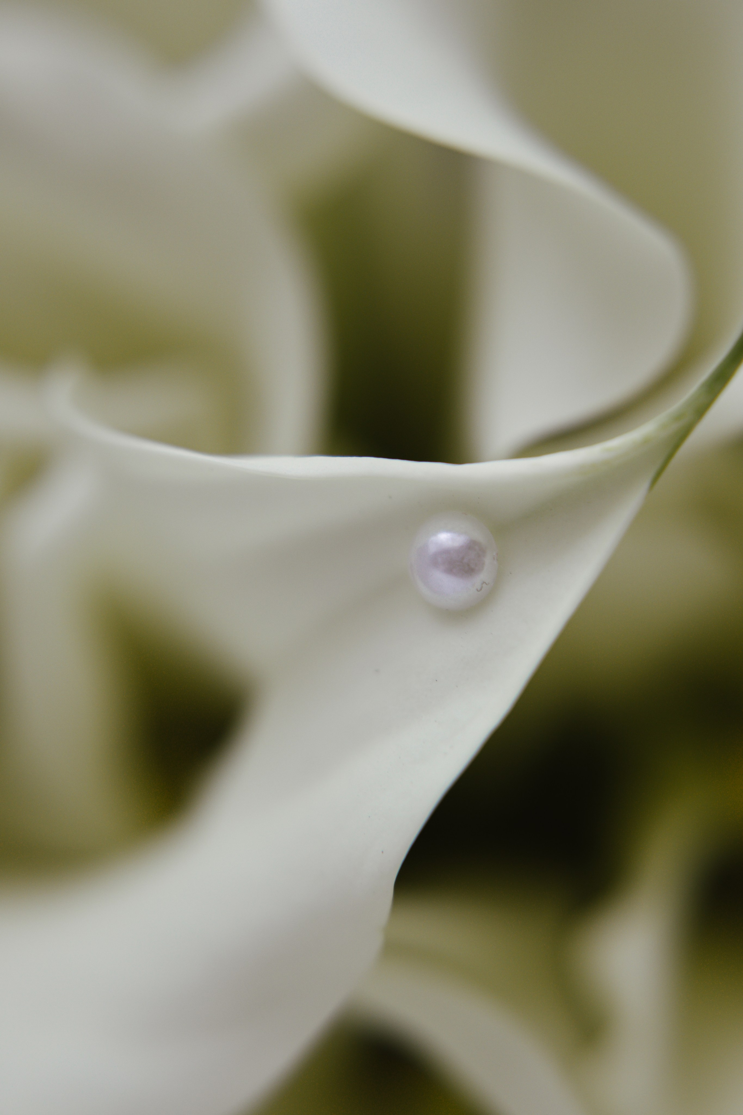 Арияна & Никита. Фотограф Амирян Марина