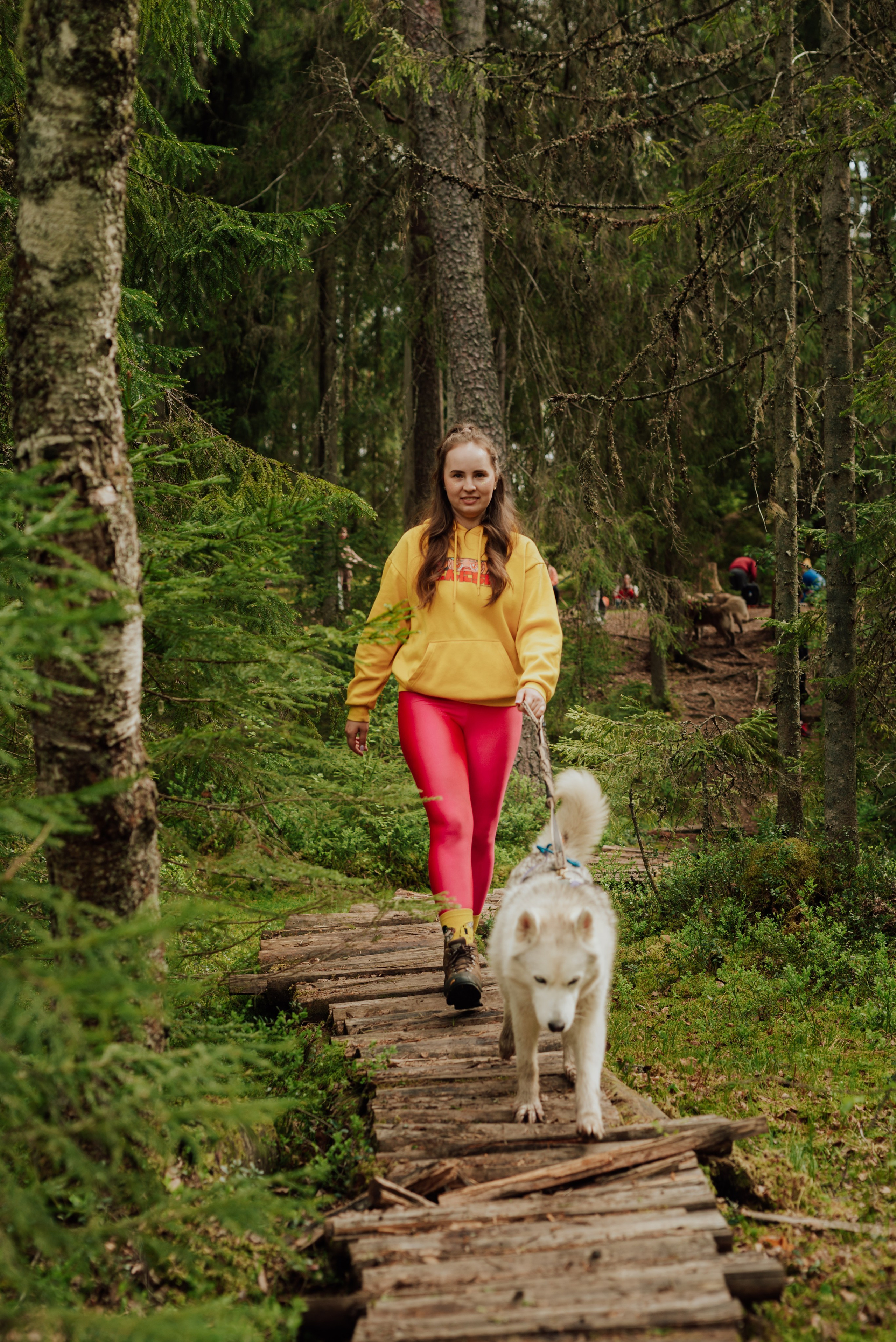 Догтрекинг. Фотограф в Санкт-Петербурге и Ленинградской области
