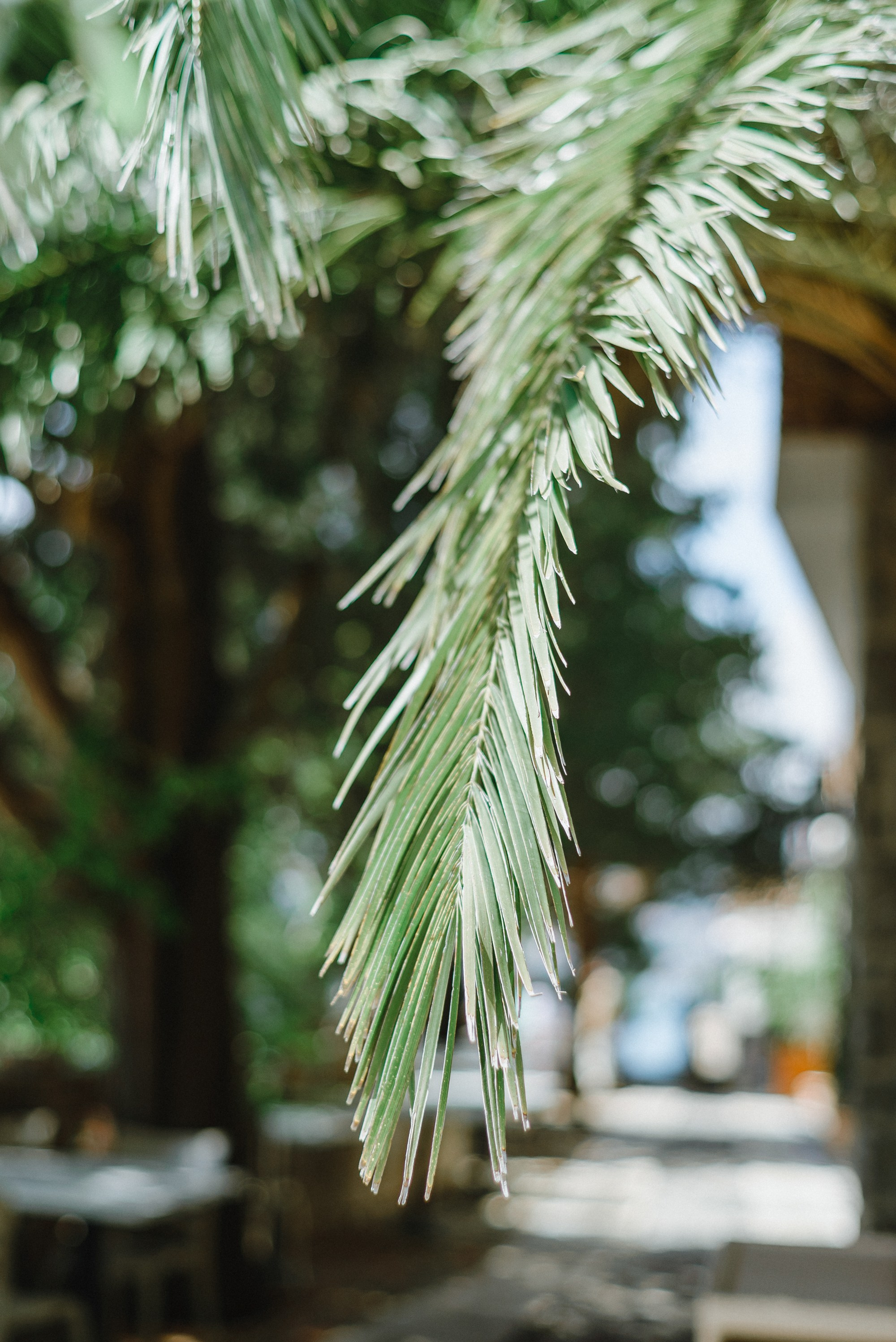 Свадебная церемония в Черногории. Изящная фотография | Ксения Милушкина