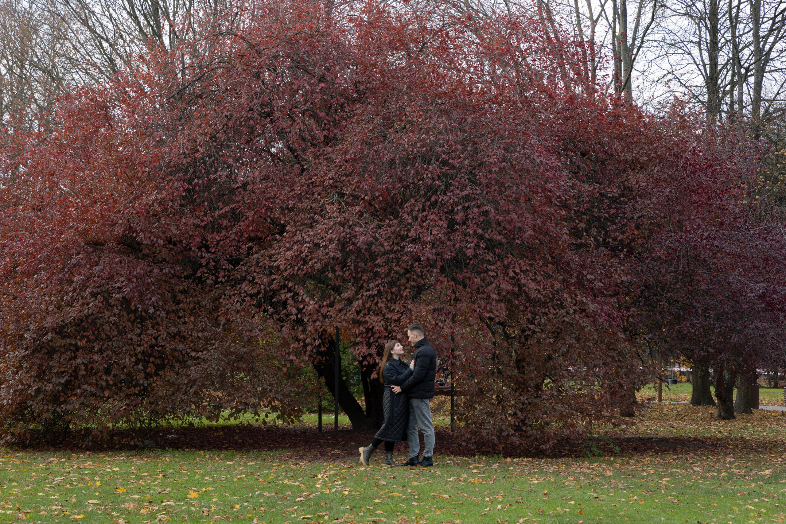 Прогулка по Канта. Свадебный фотограф Калининград
