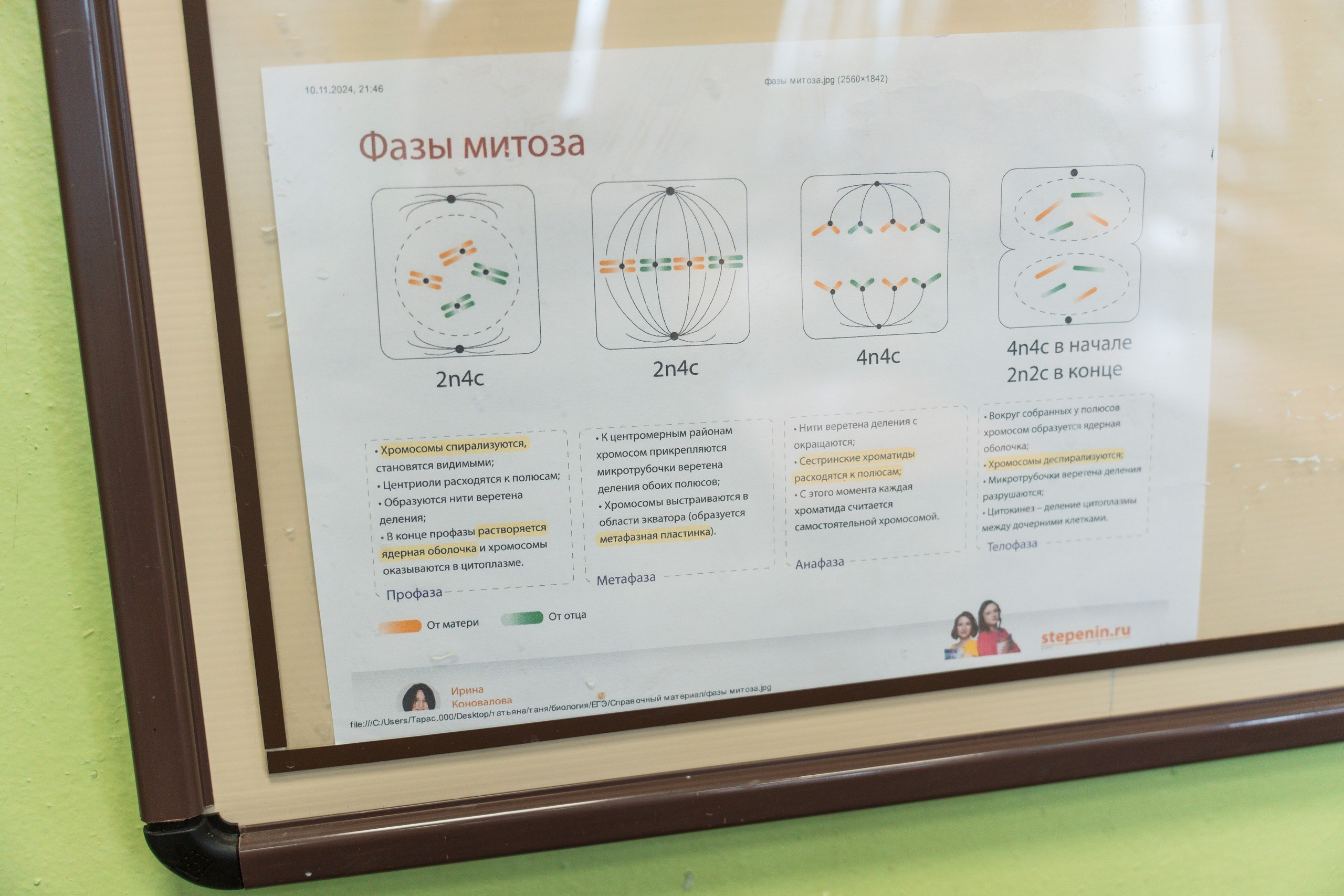 Пятёрка для ребёнка. Репортажная съёмка в Санкт-Петербурге, Константин Петров