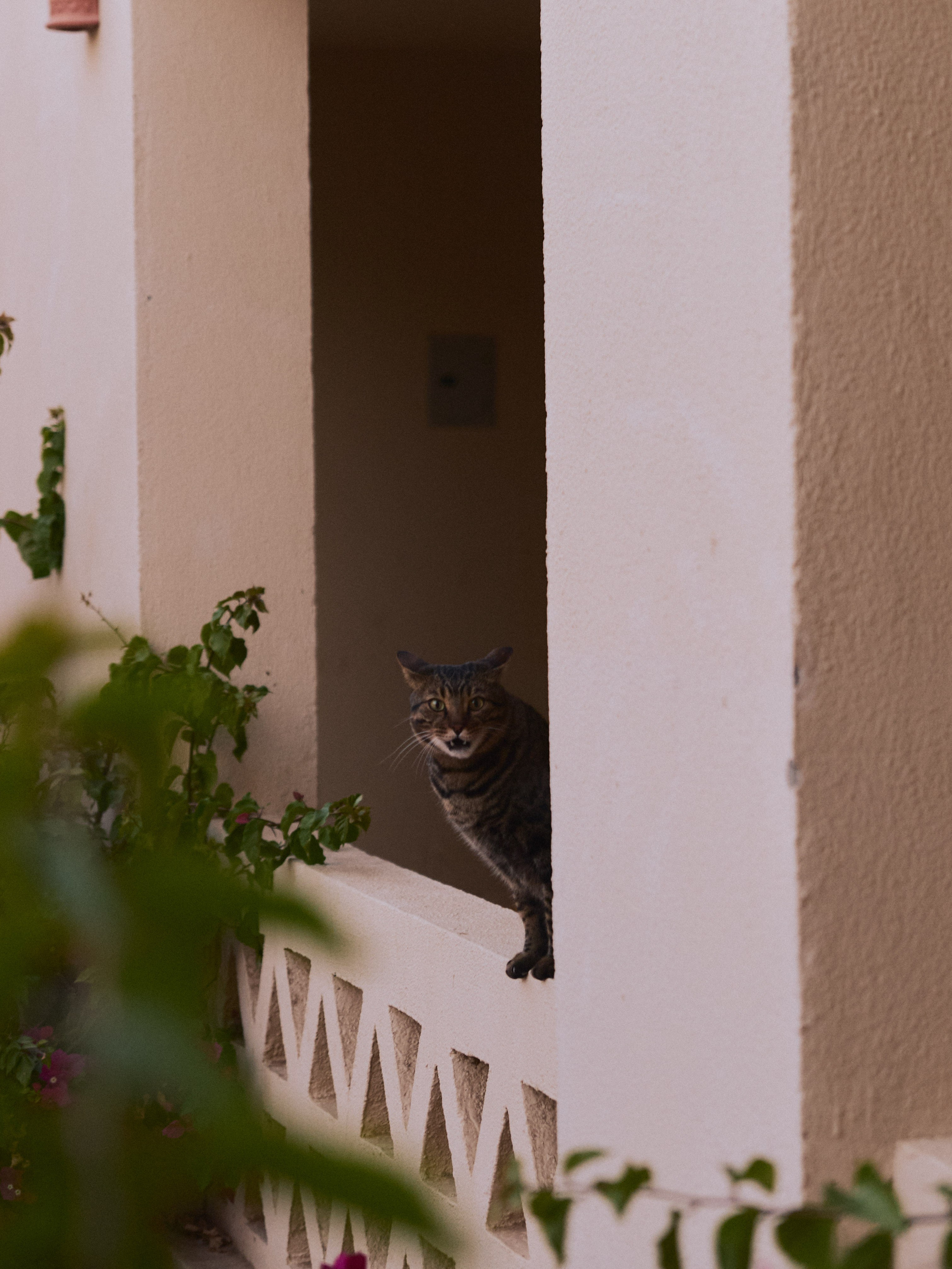 Другое 2. Jorgis Talè — photographer, kind person, teacher of arts and other mag