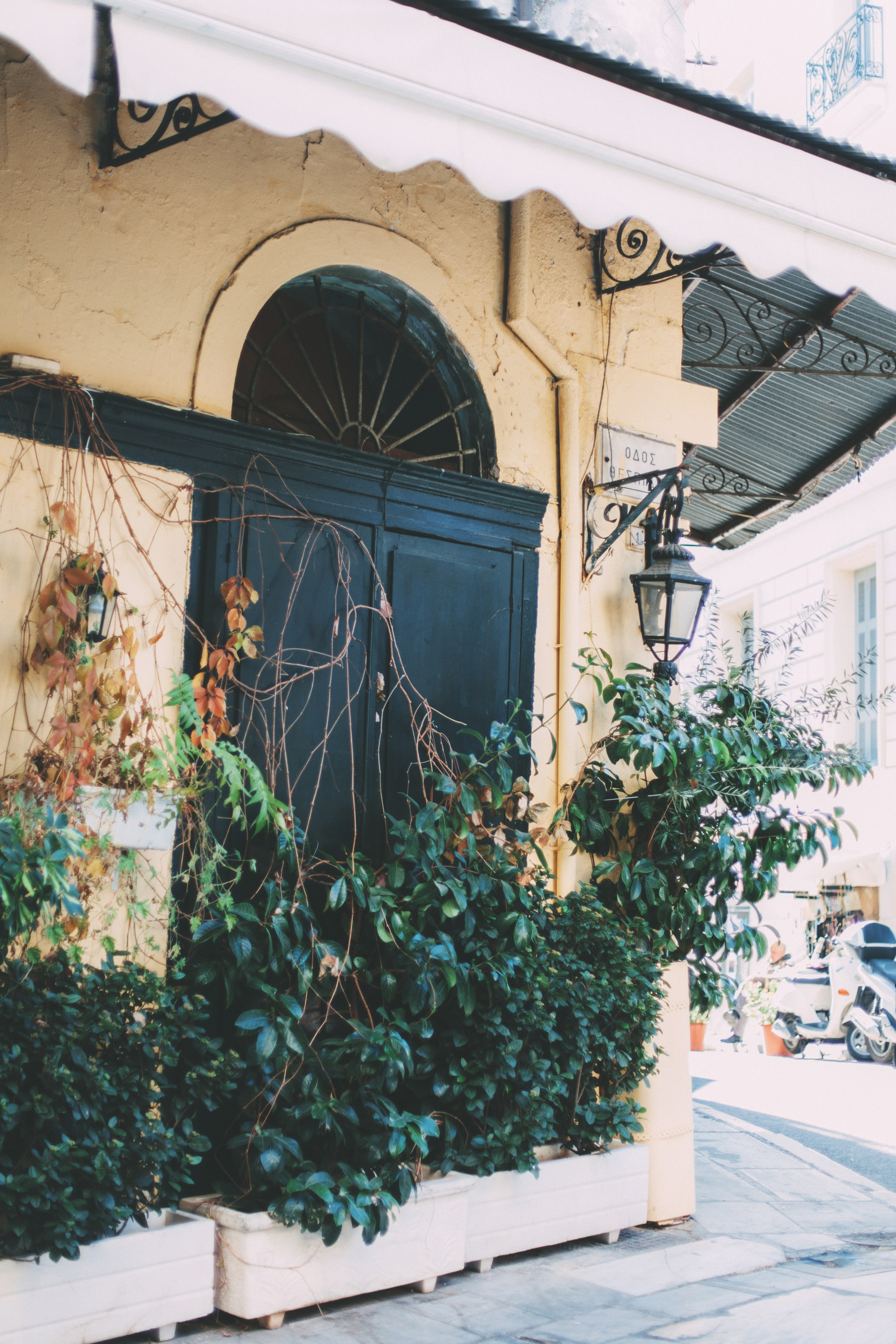 Афины. Аня Степанова