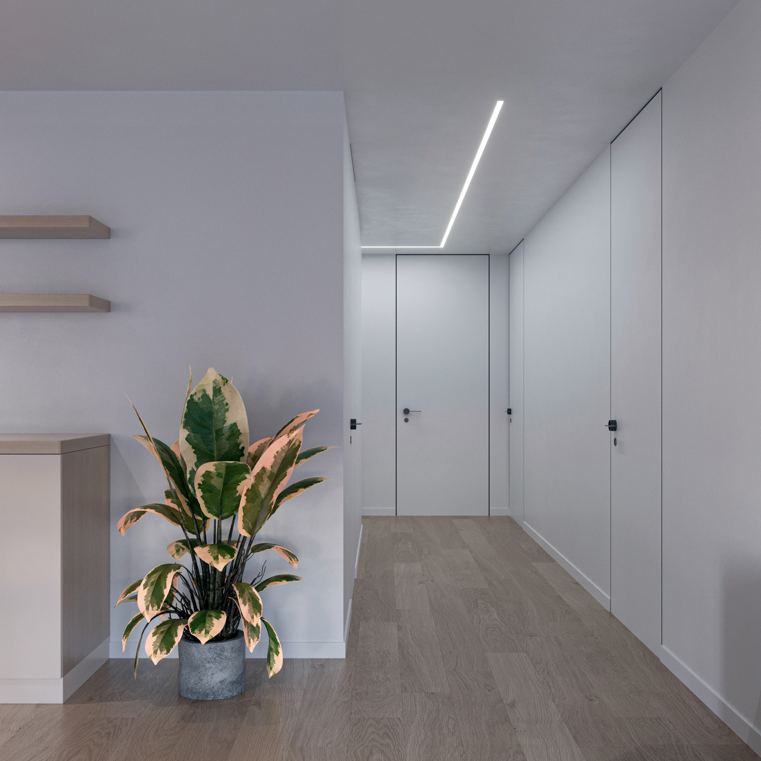 Open space. 3D visualization of exteriors and interiors