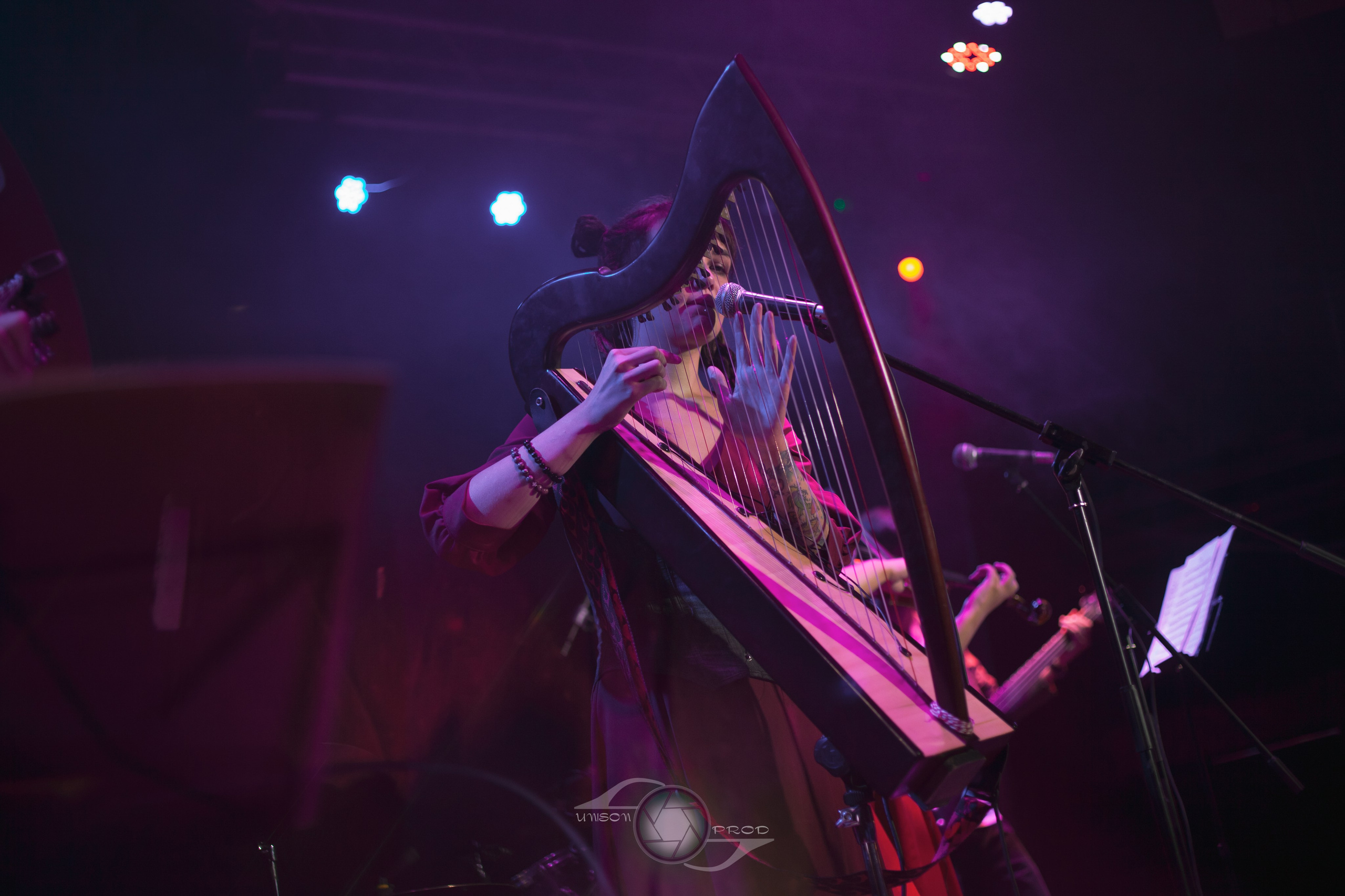 Фолк-вечер в «MEZZO FORTE». Фотограф Ellairen