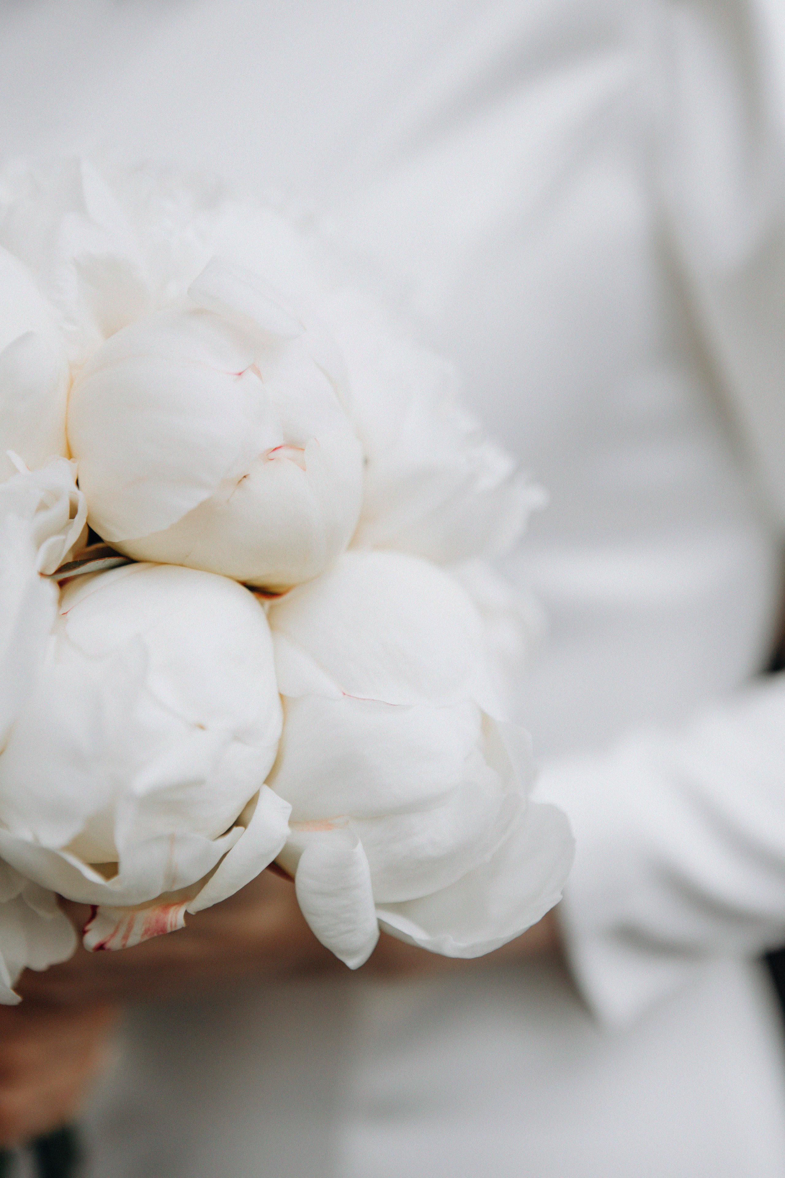 Билеты в любовь. Свадебный и семейный фотограф Арестенко Анастасия