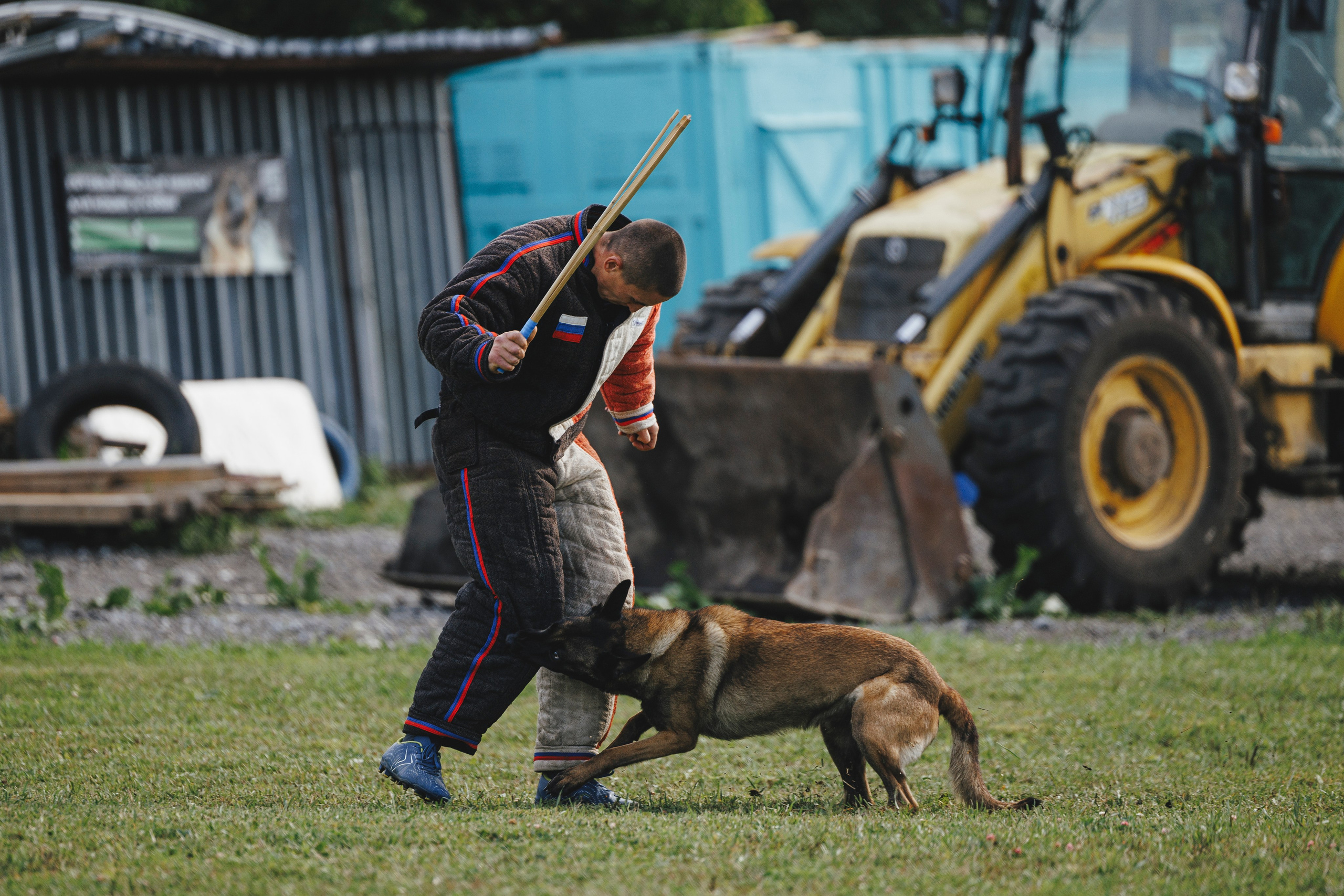 08.08.25-10.08.25 ЧР по мондьорингу г. Вологда. Фотограф-анималист Анна Маринич