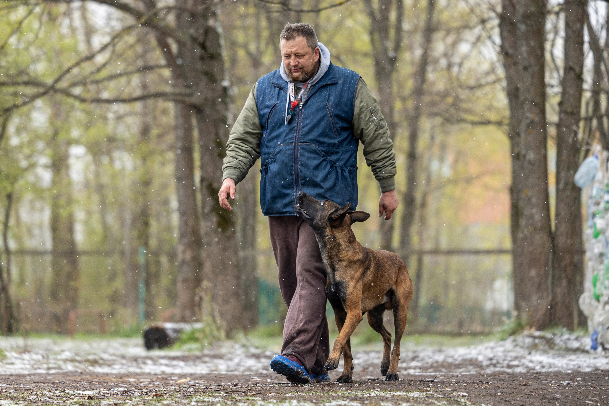 Квалификационные состязания по мондьорингу г. Вологда 11.05.24. Фотограф-анималист Анна Маринич