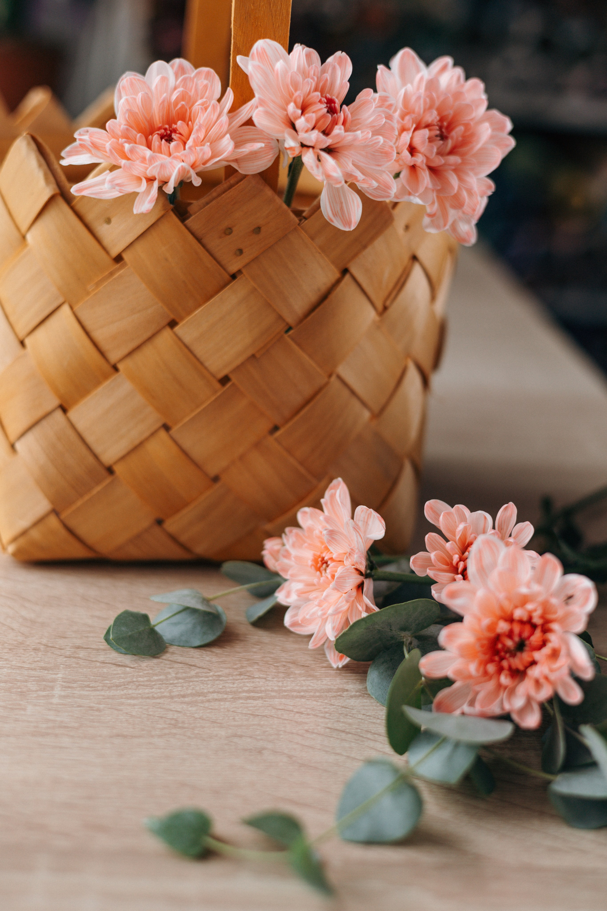 Кейс магазин цветов. Ваш фотограф