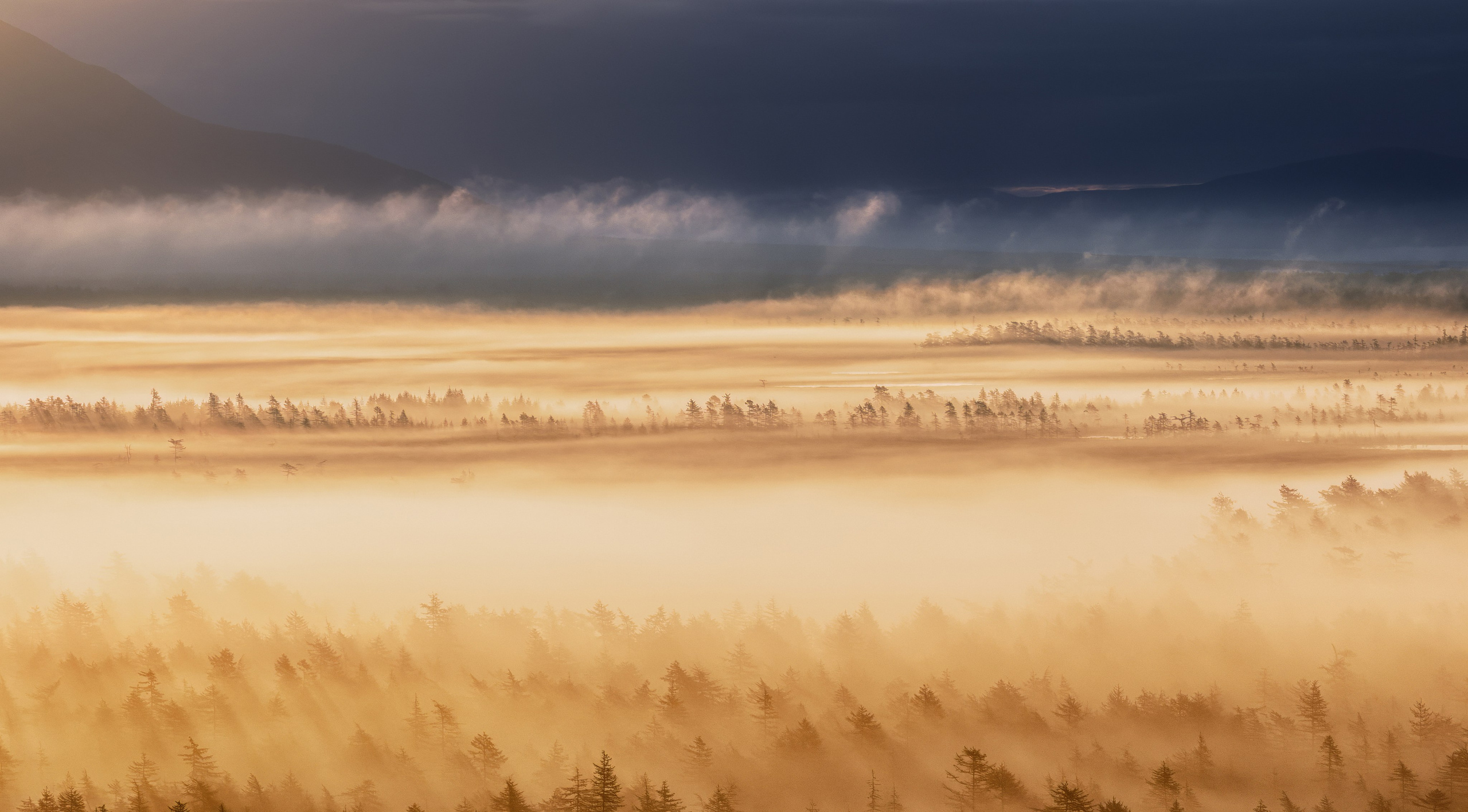 Экспедиция на Колыму