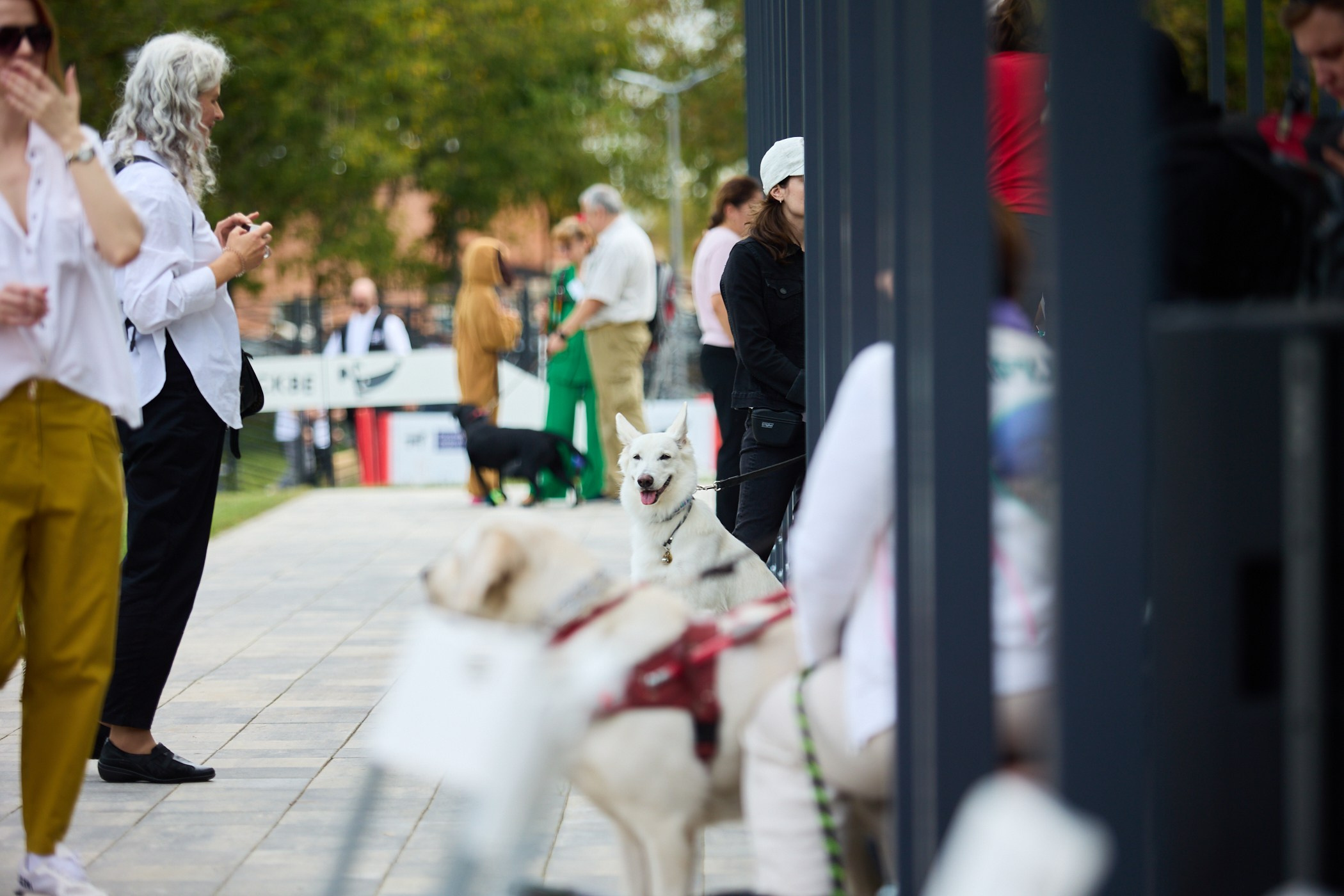 Инклюзивный фестиваль «Три шага к победе». Фотограф Ирина Астор