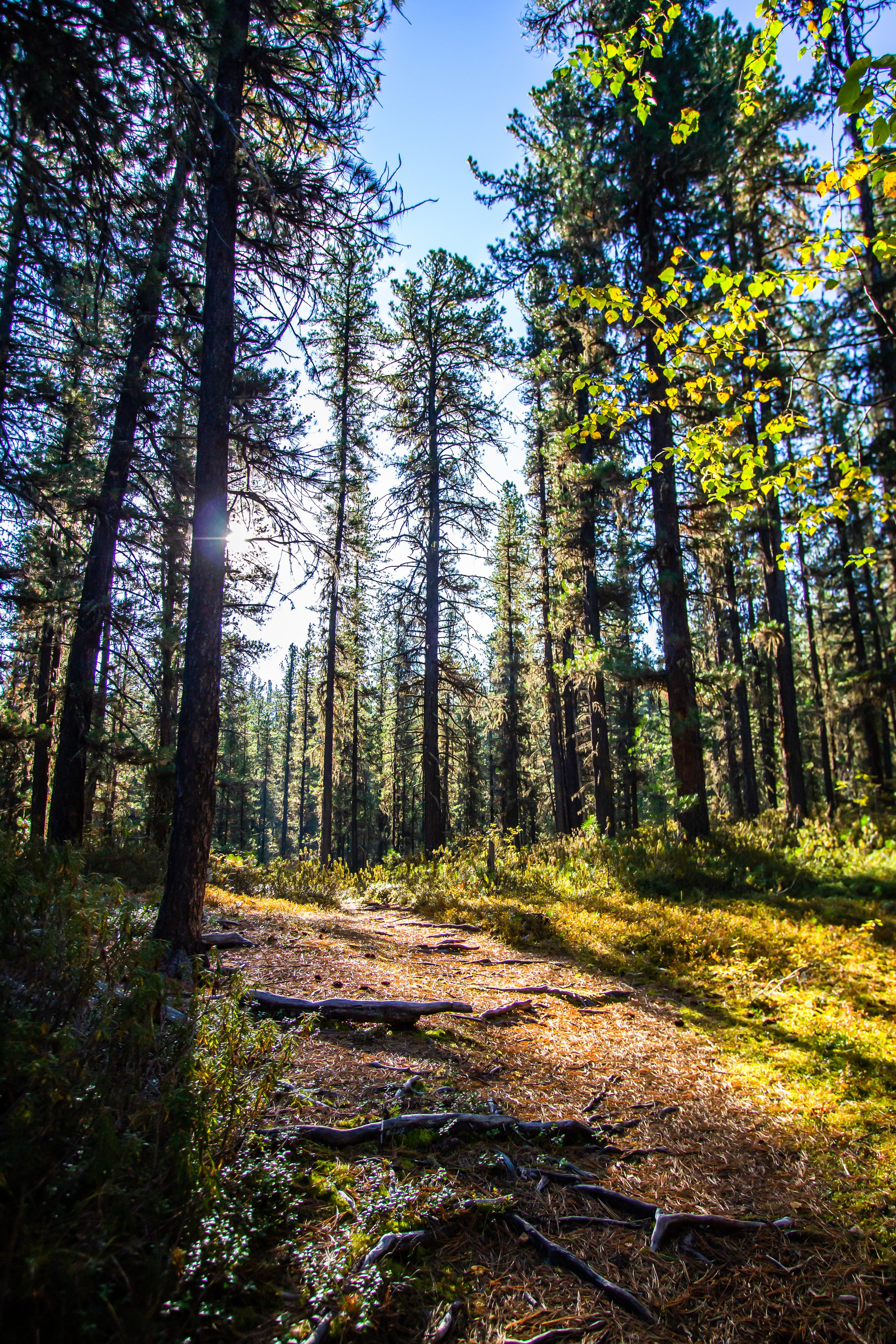 Тыва и Хакасия. Travel-фотограф Ирина Милинцова