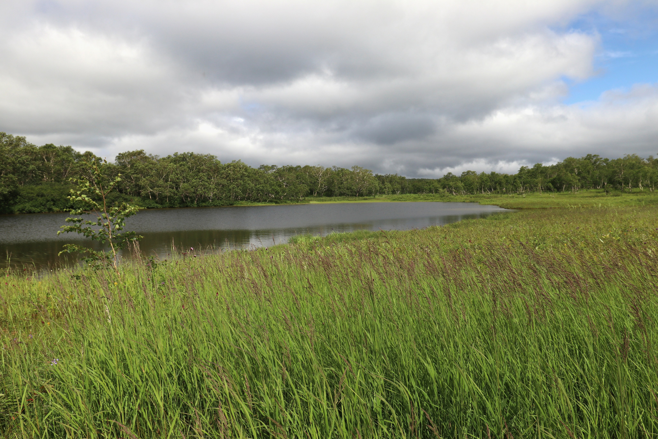 Камчатка и о. Парамушир. Июль 2024. Путешественник-фотограф из Санкт-Петербурга Татьяна Свистулина