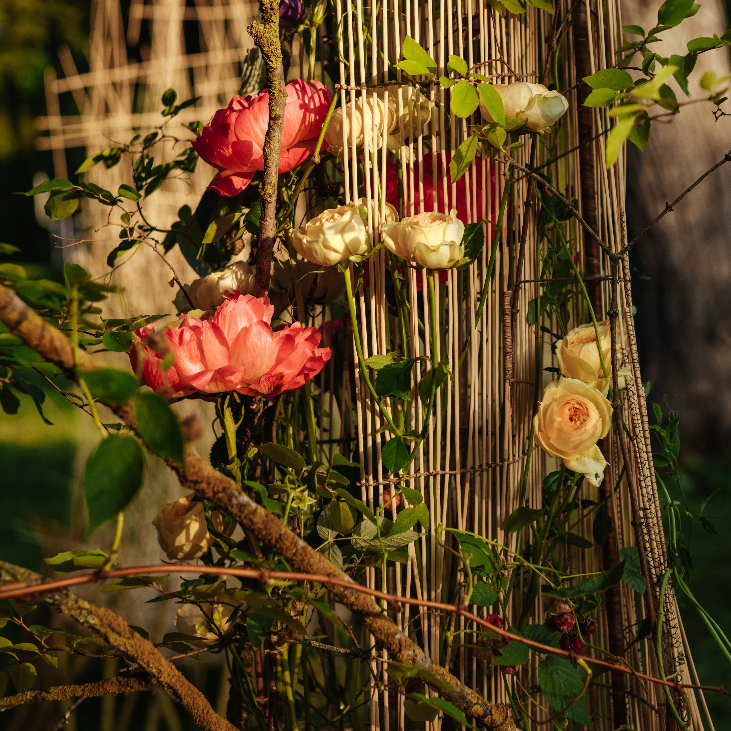 Фестиваль флористов Flower Boom 2023