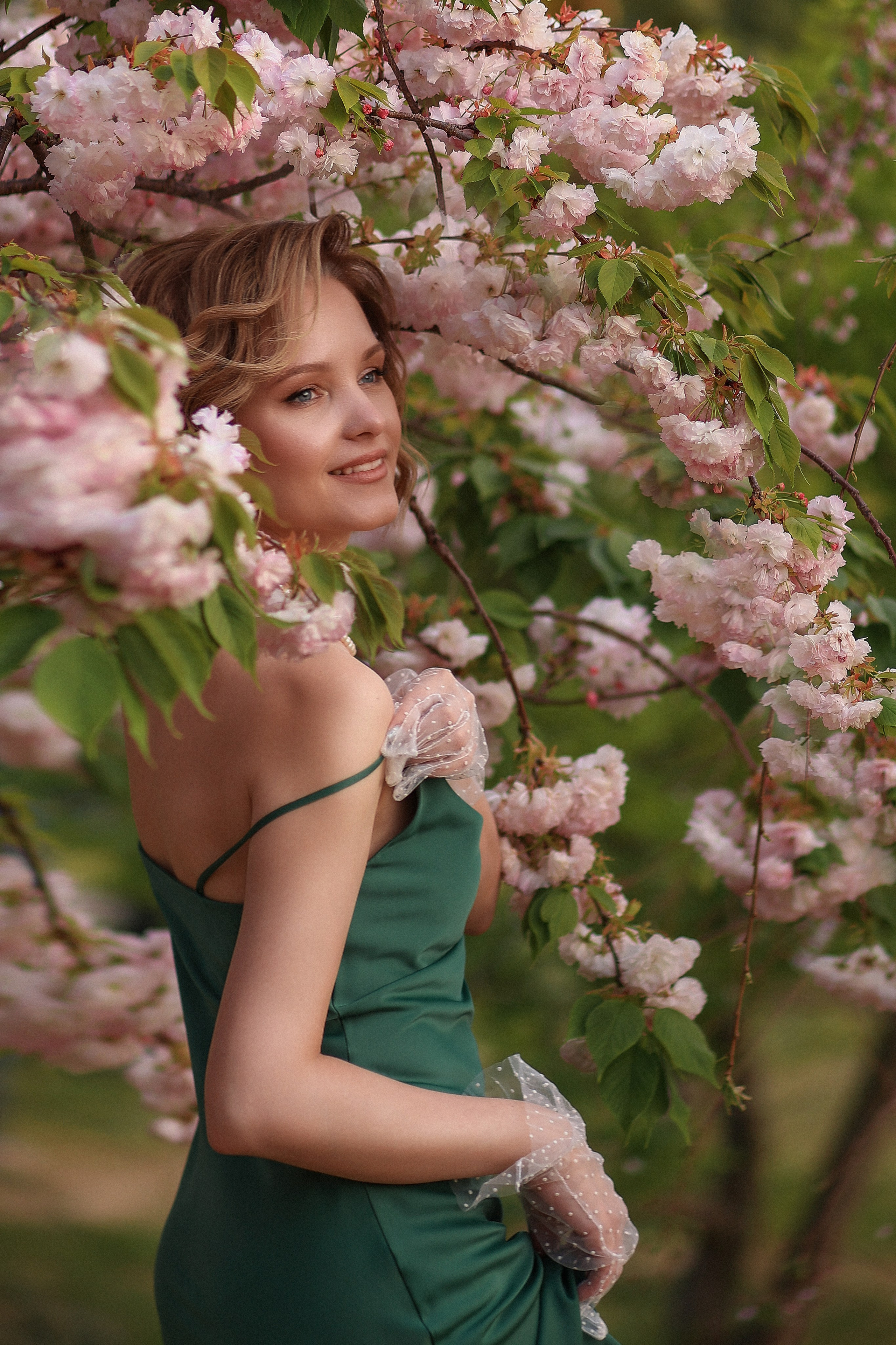 Цветение. Магнолия. Сакура. Фотограф в городе Сочи