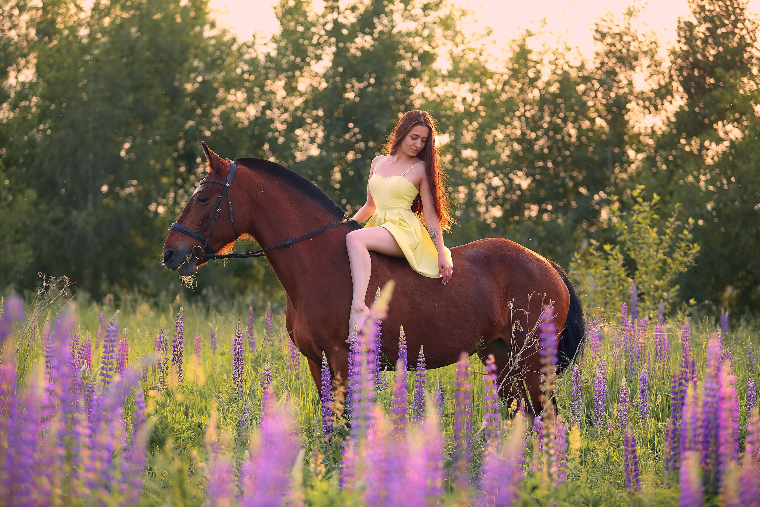 Фотосессия с лошадьми, Фотограф Михаил Семенов г. Ярославль