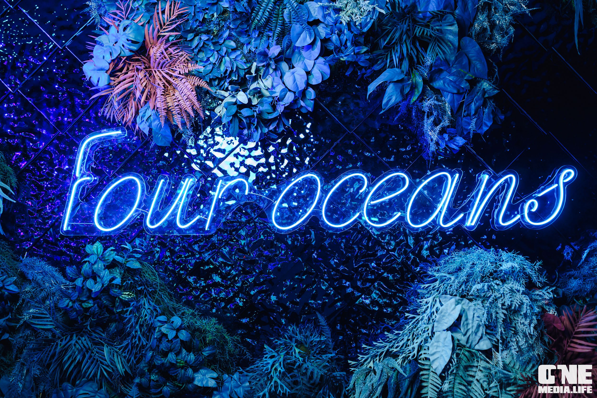 Фоторепортаж из ресторана Океан. One Media Life: фоторепортажи, фотоотчеты с мероприятий и заведений