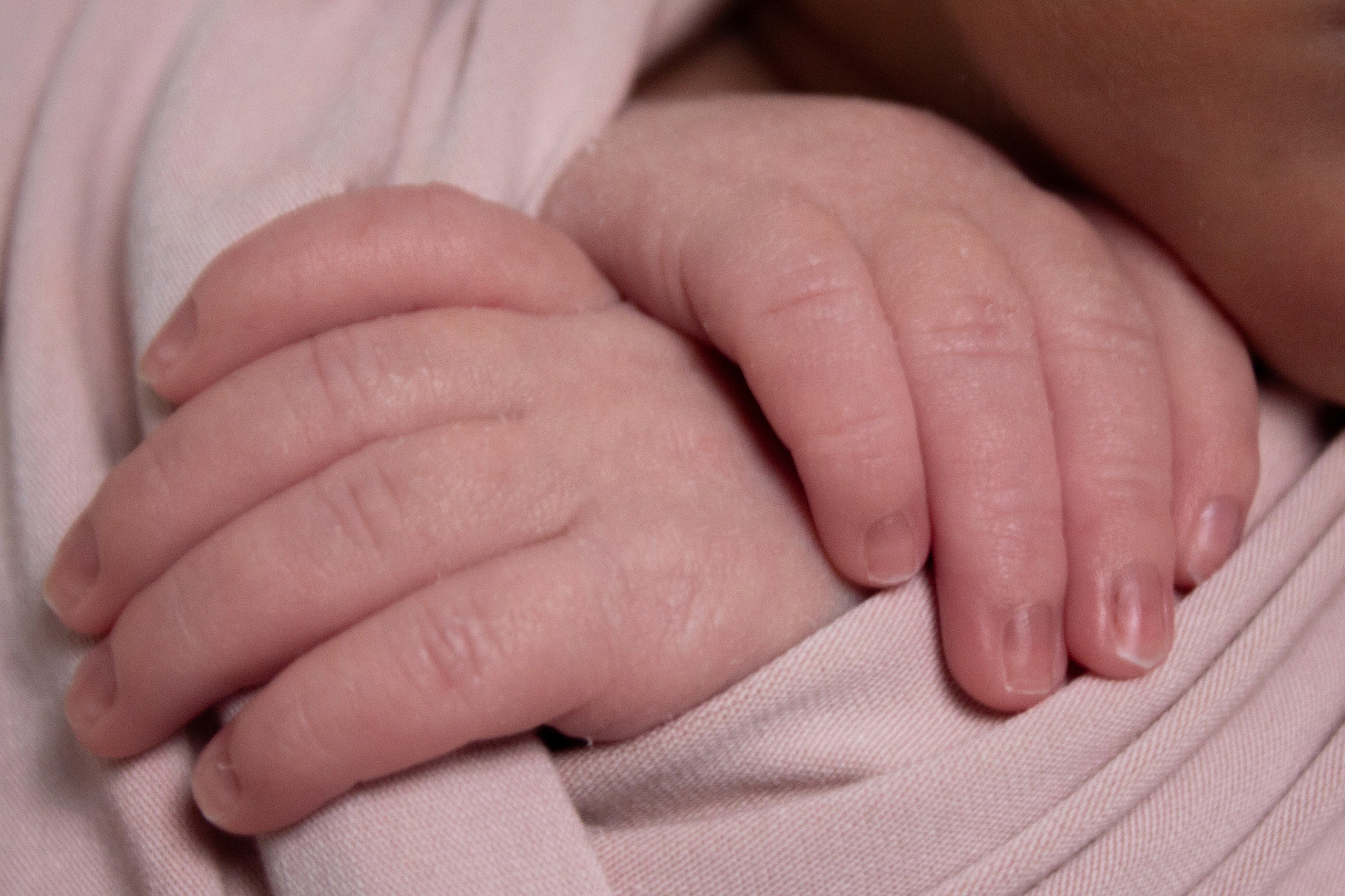 Newborn. Фотограф новорожденных Новосибирск