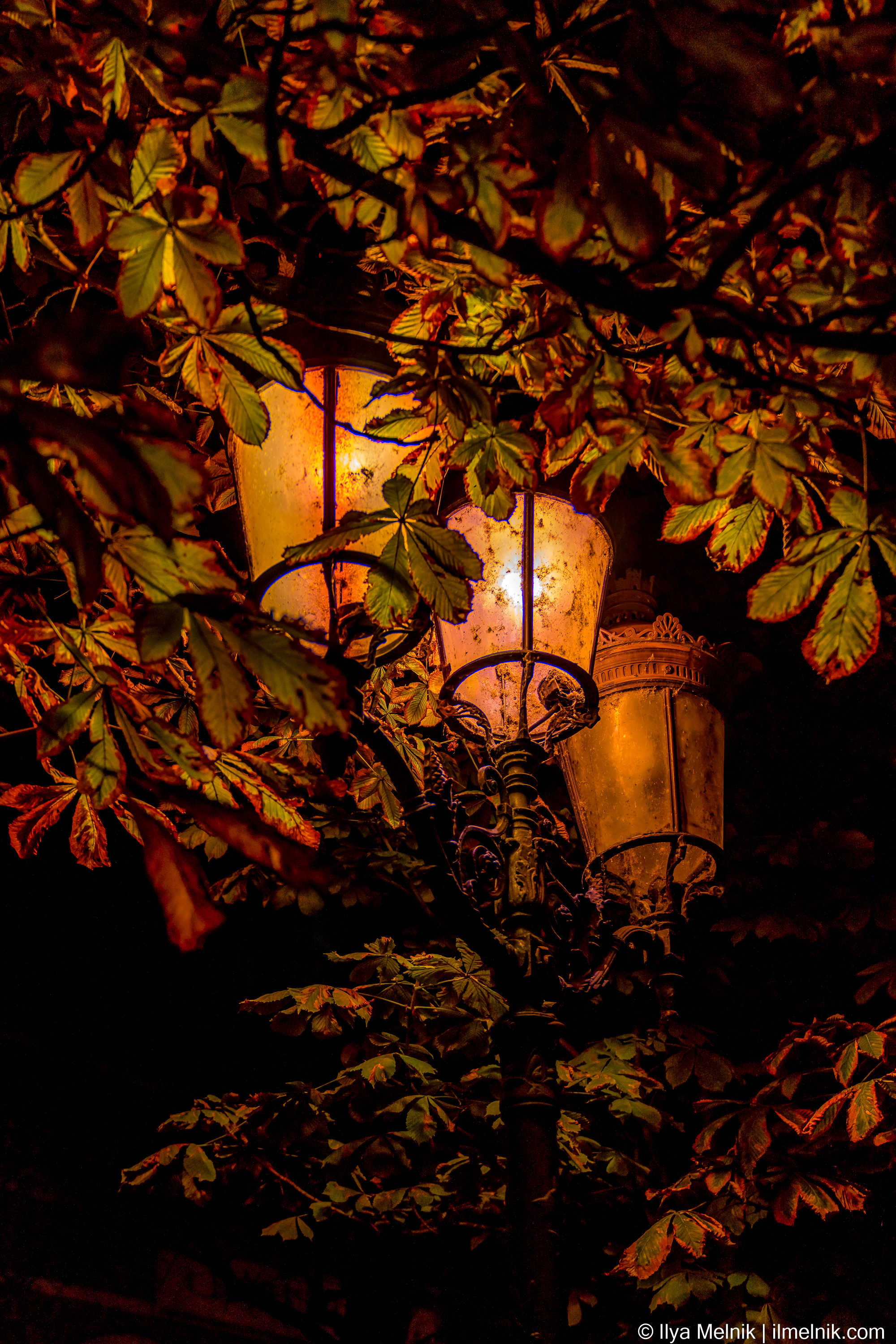 France. Ilya Melnik Photography