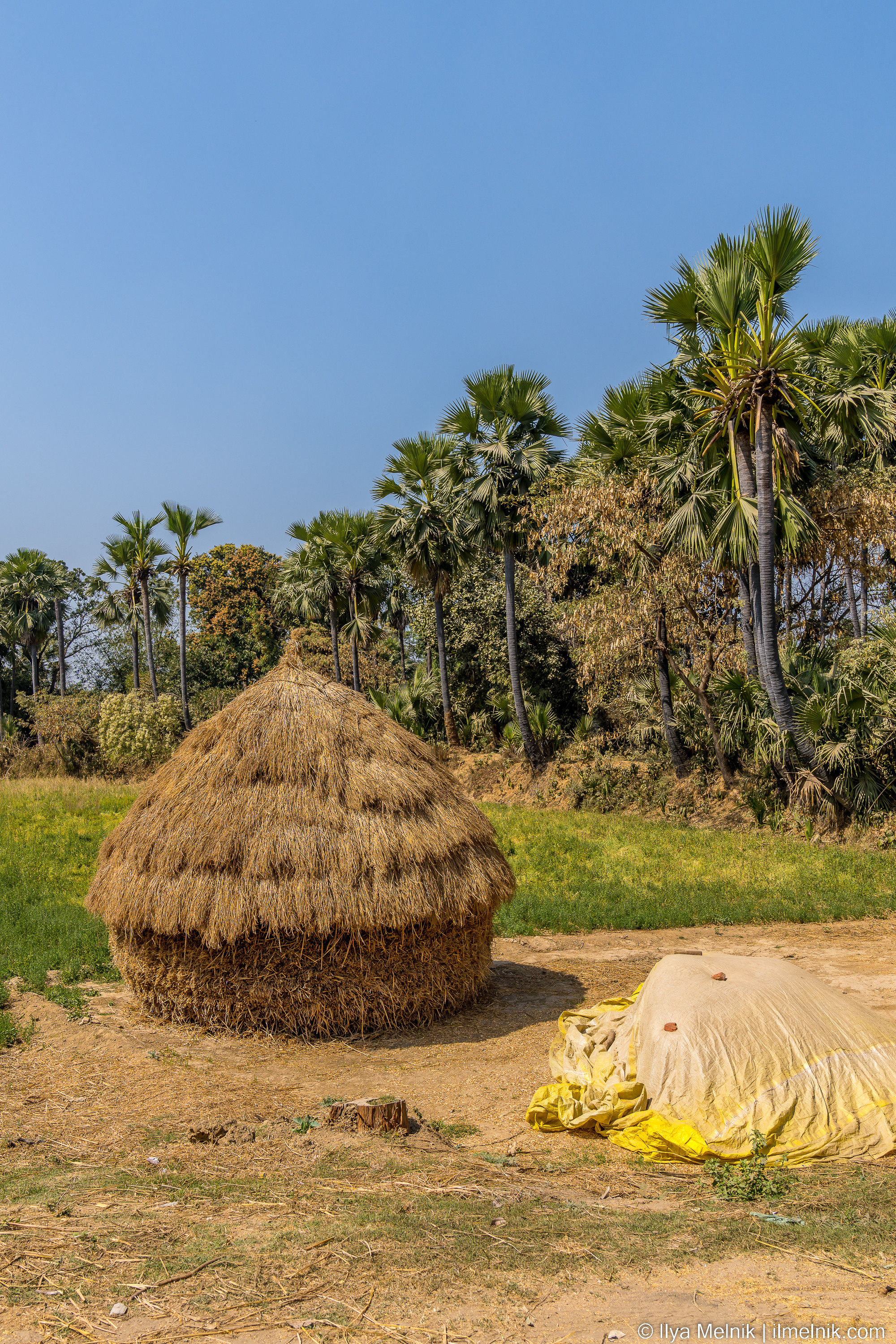 India. Ilya Melnik Photography
