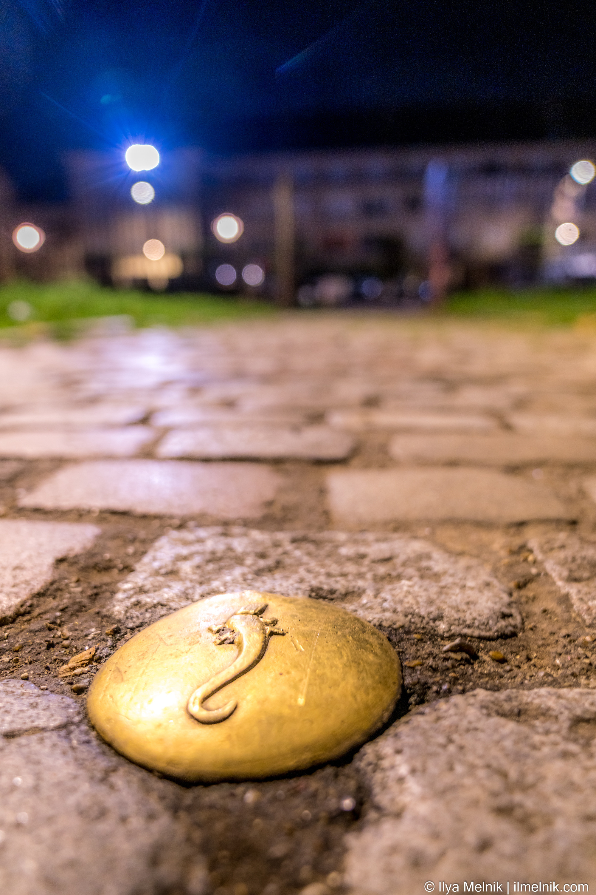 France. Ilya Melnik Photography