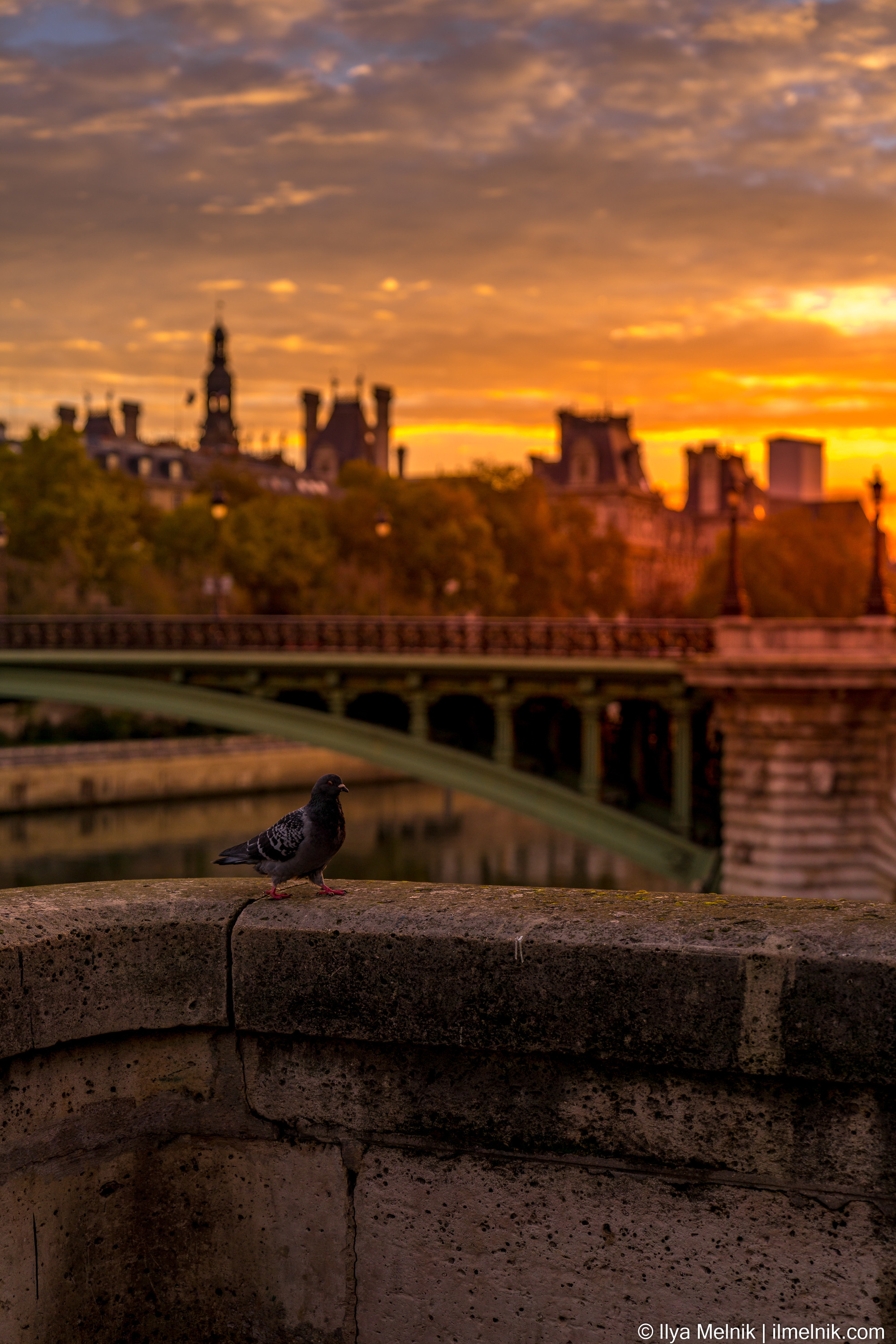 France. Ilya Melnik Photography