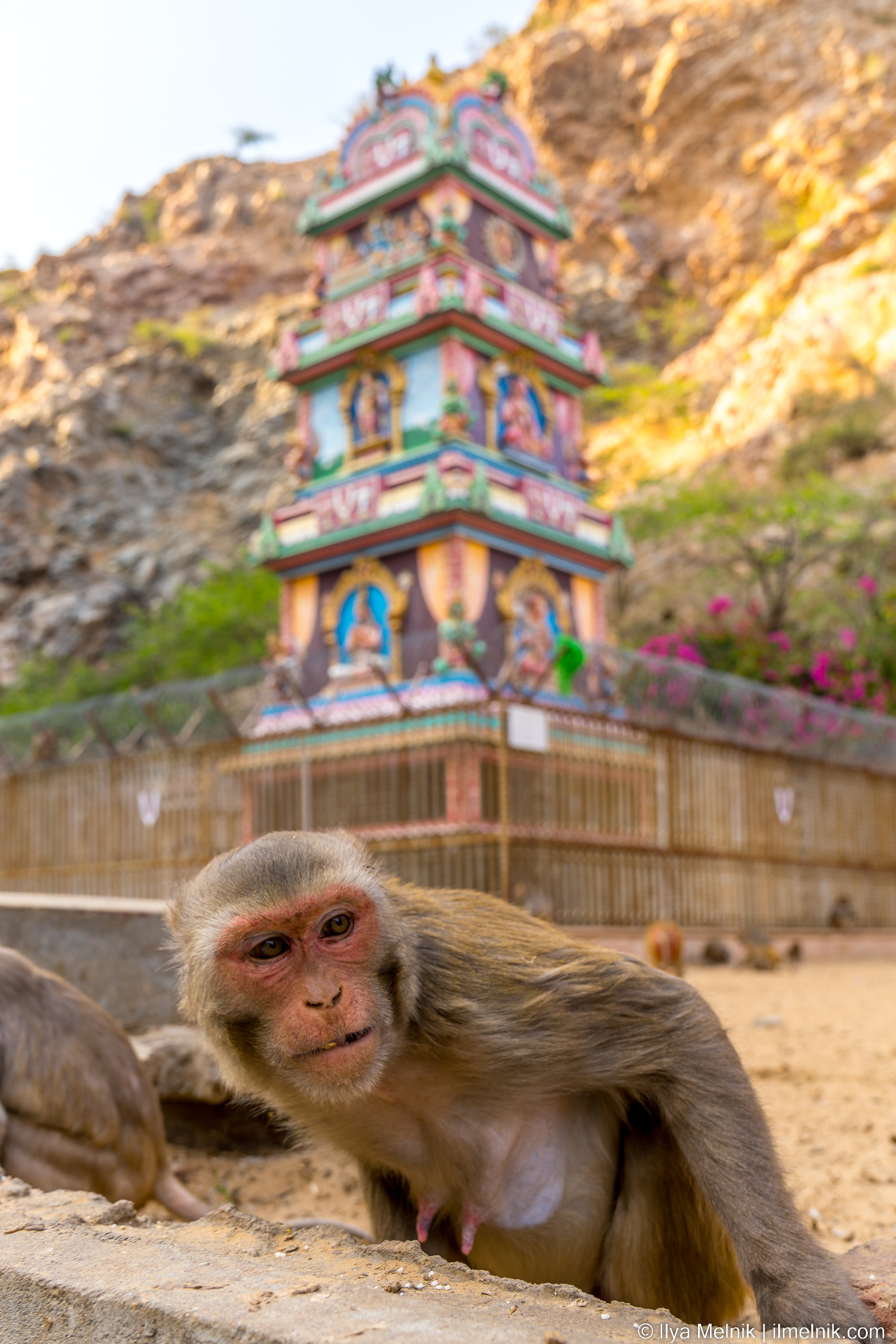 India. Ilya Melnik Photography