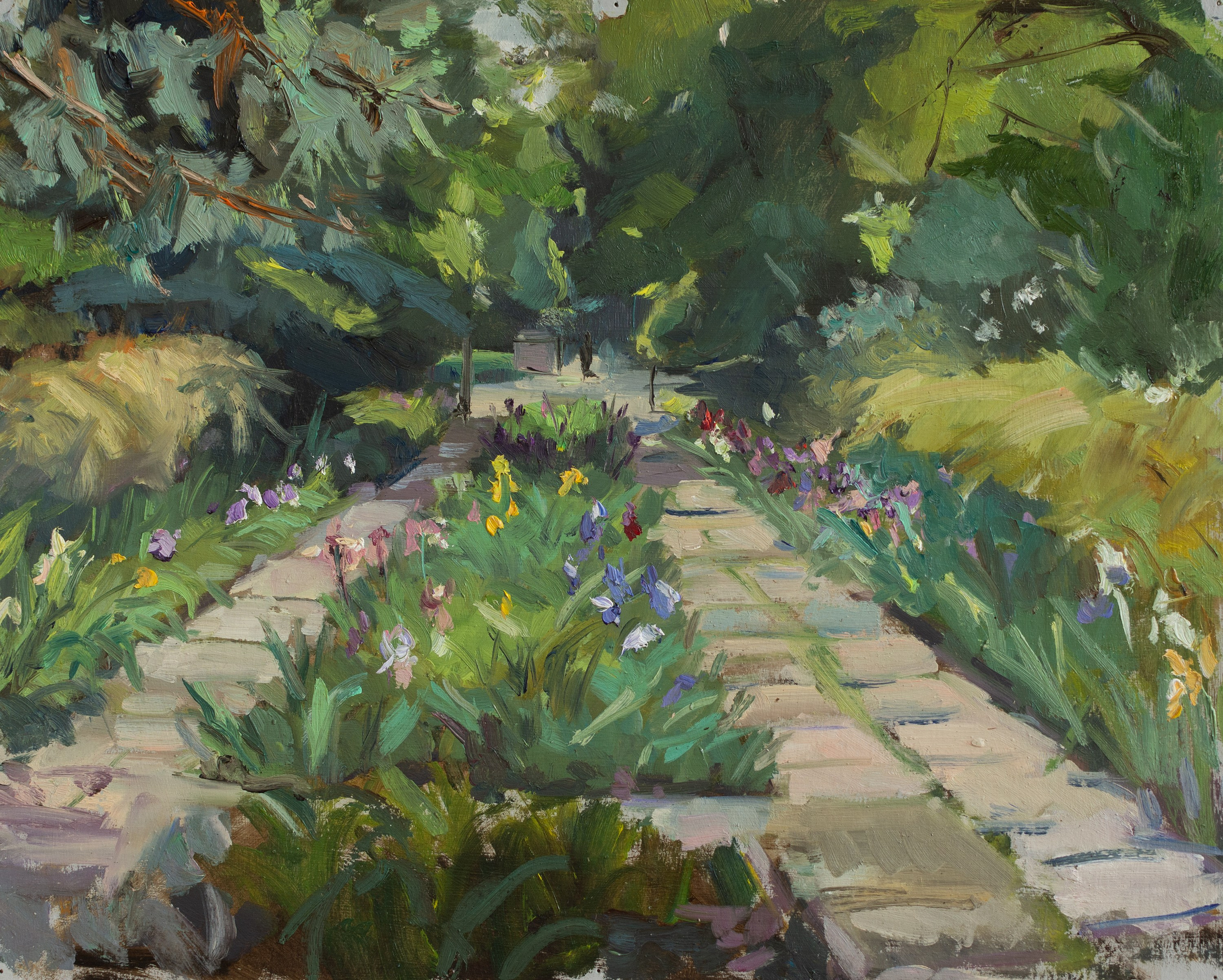 "Иридарий. Этюд" картон, масло 29.5х36.5см, 2024