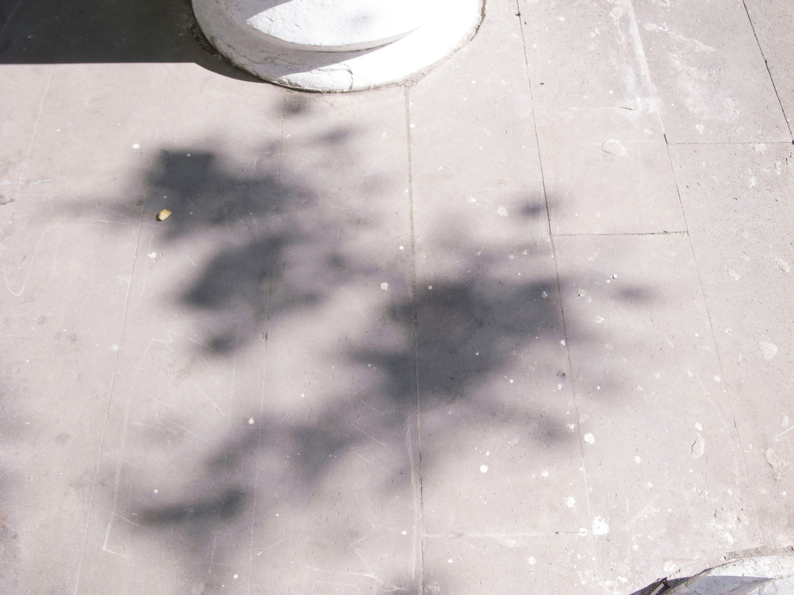 Street. Фотограф, в Ростове-на-дону