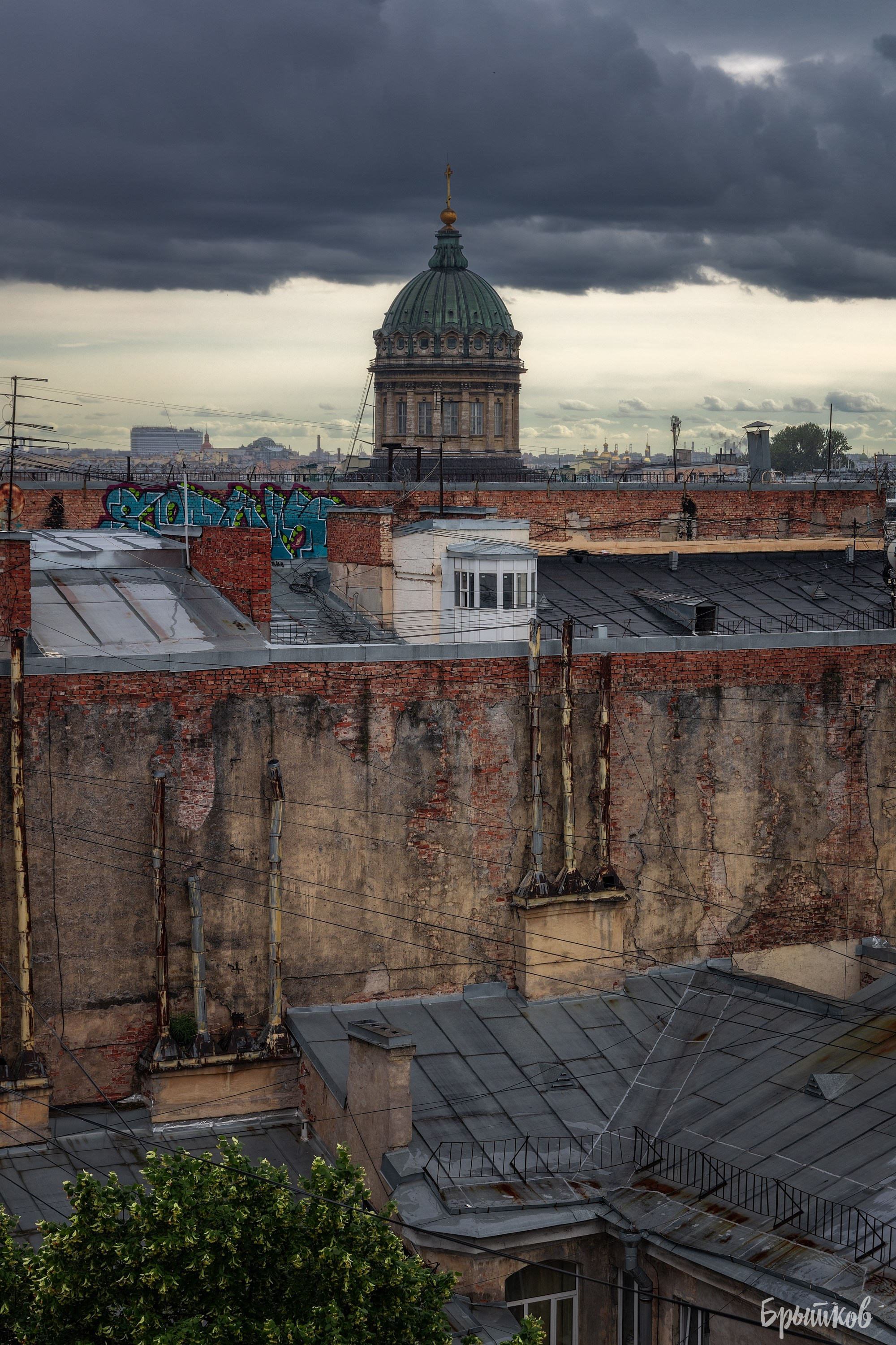 Санкт-Петербург. Николай Брытков — фотограф в Туле
