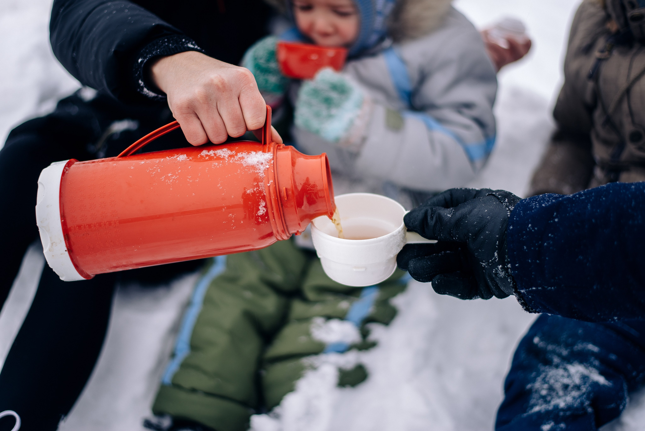 Коньки. Фотограф — МАРИЯ МЕДВЕДЕВА