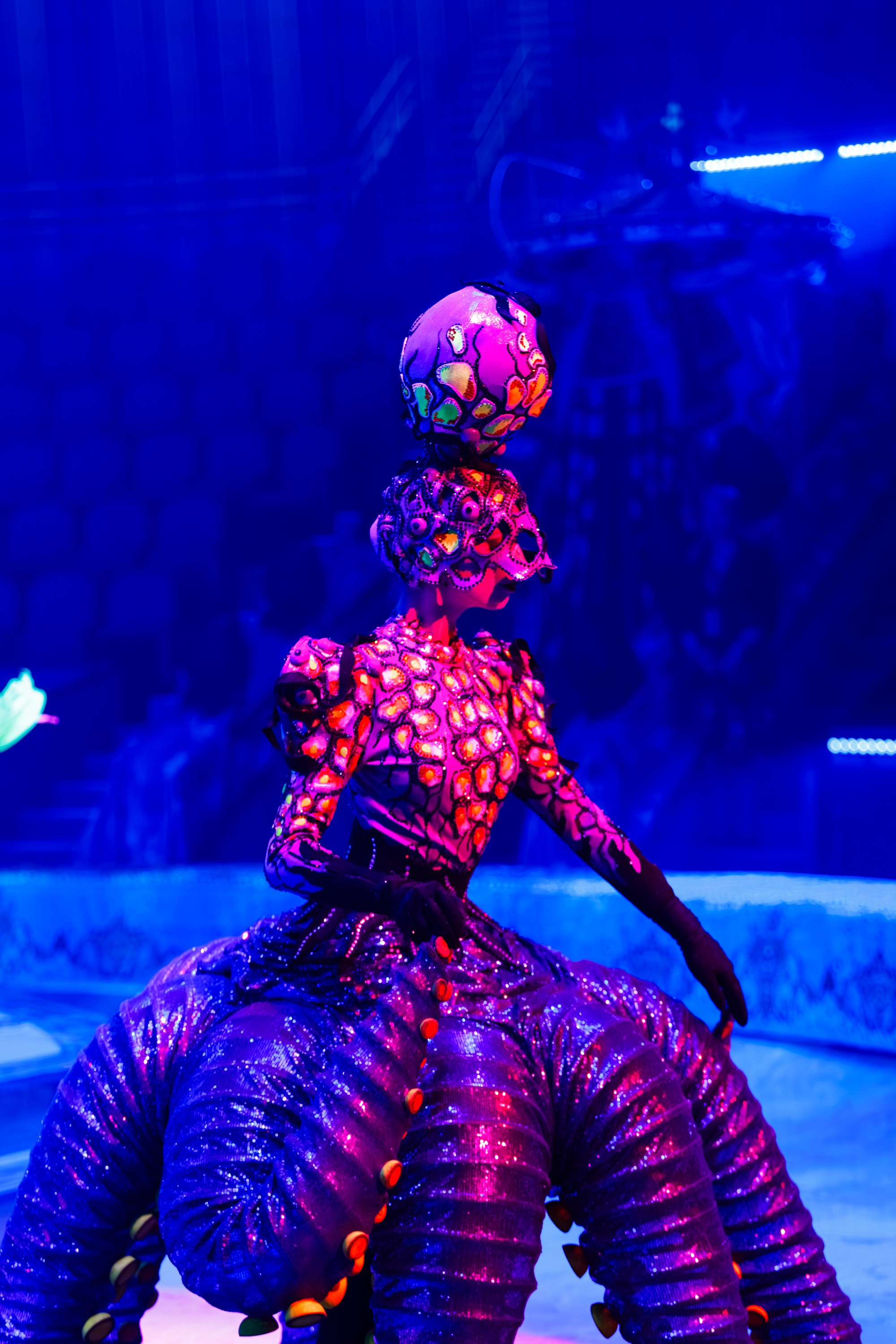 Сочинский росгорцирк Шоу Гии Эрадзе цирк. Профессиональный фотограф в Сочи Виктория Джой. Обучение