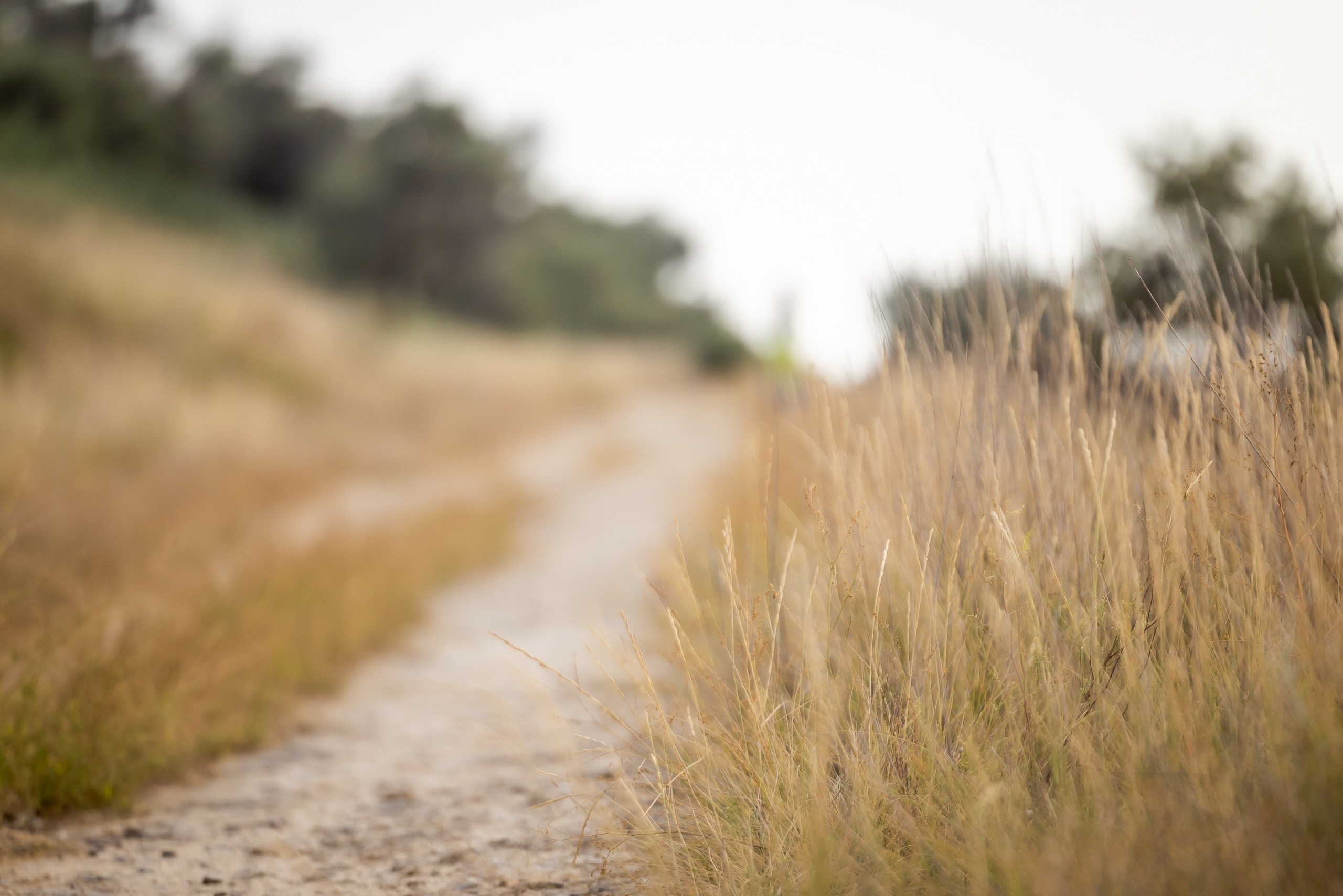 Семья. Фотограф Владимир Охрименко