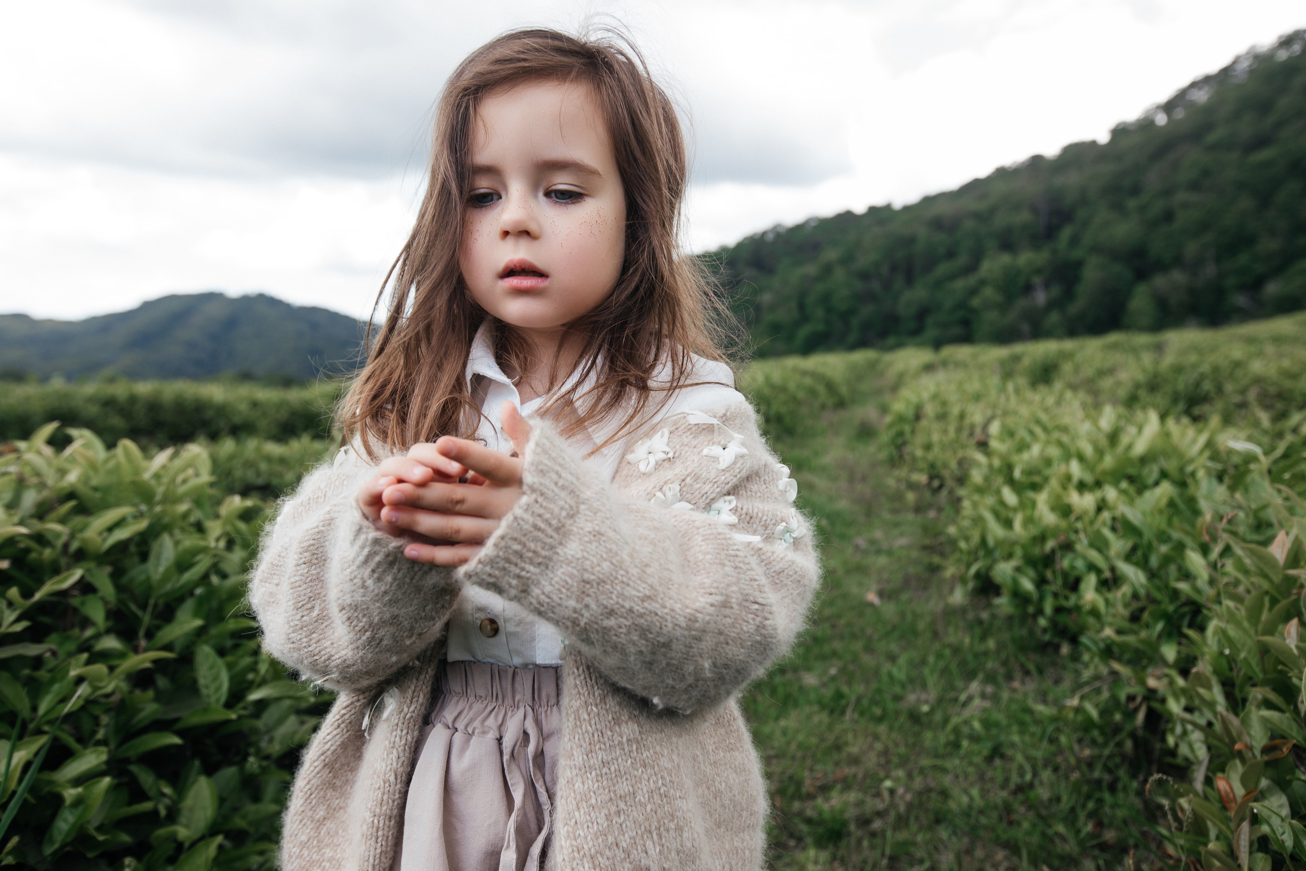 Tea plantation. Efimova Model Agency