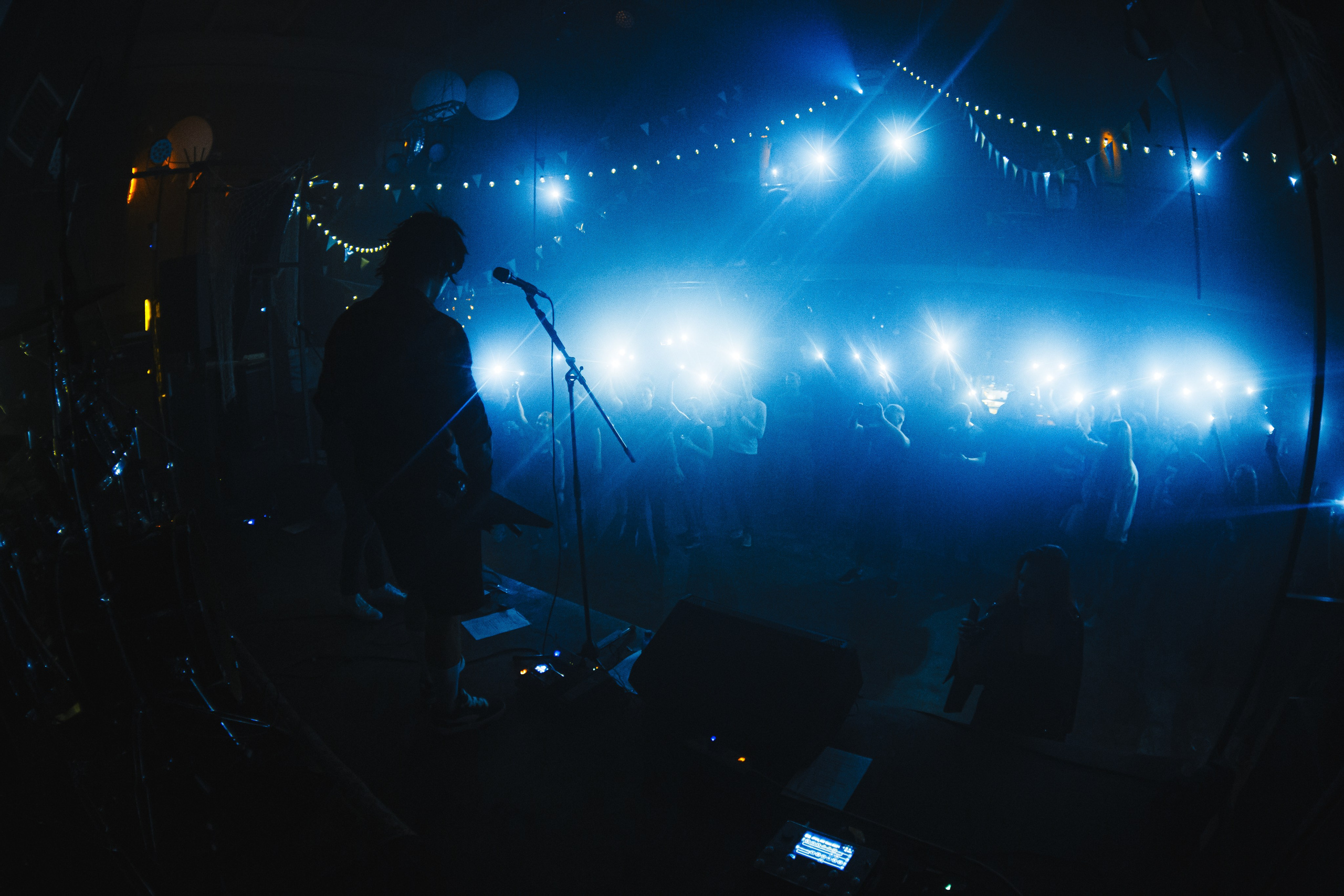 WITNESS EFFECT | 19.04.25 | Ласточка