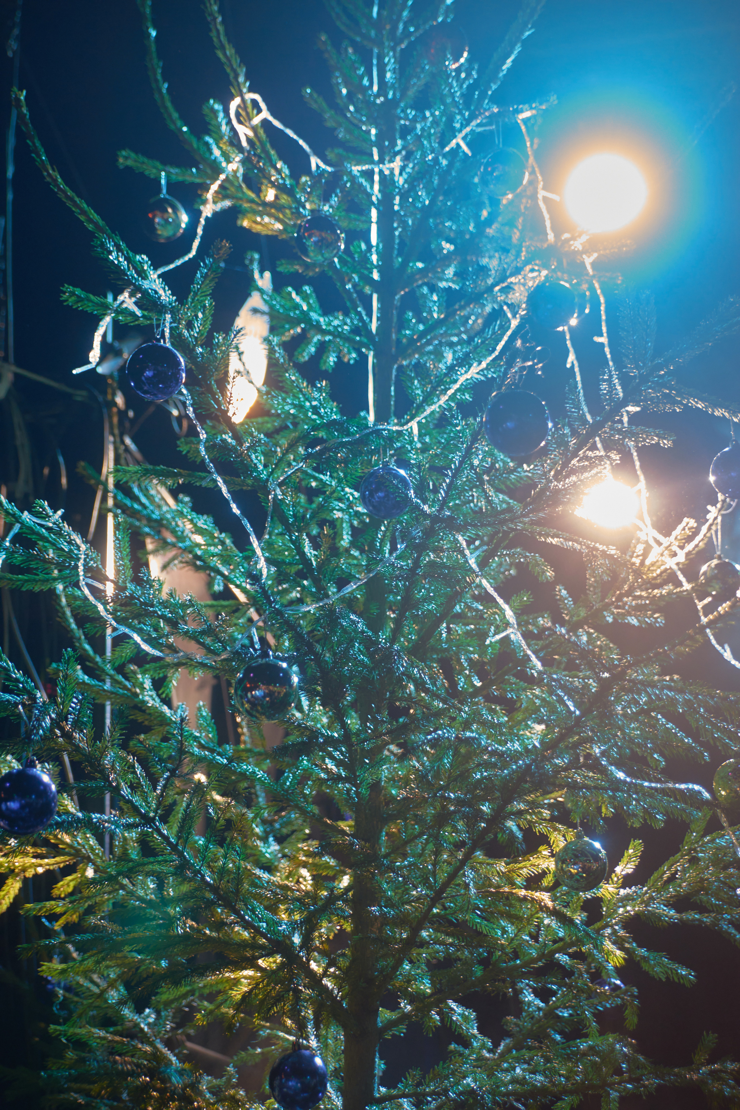 5 Января Александр Пушной Екатеринбург. Ёлкин Александр Фотограф