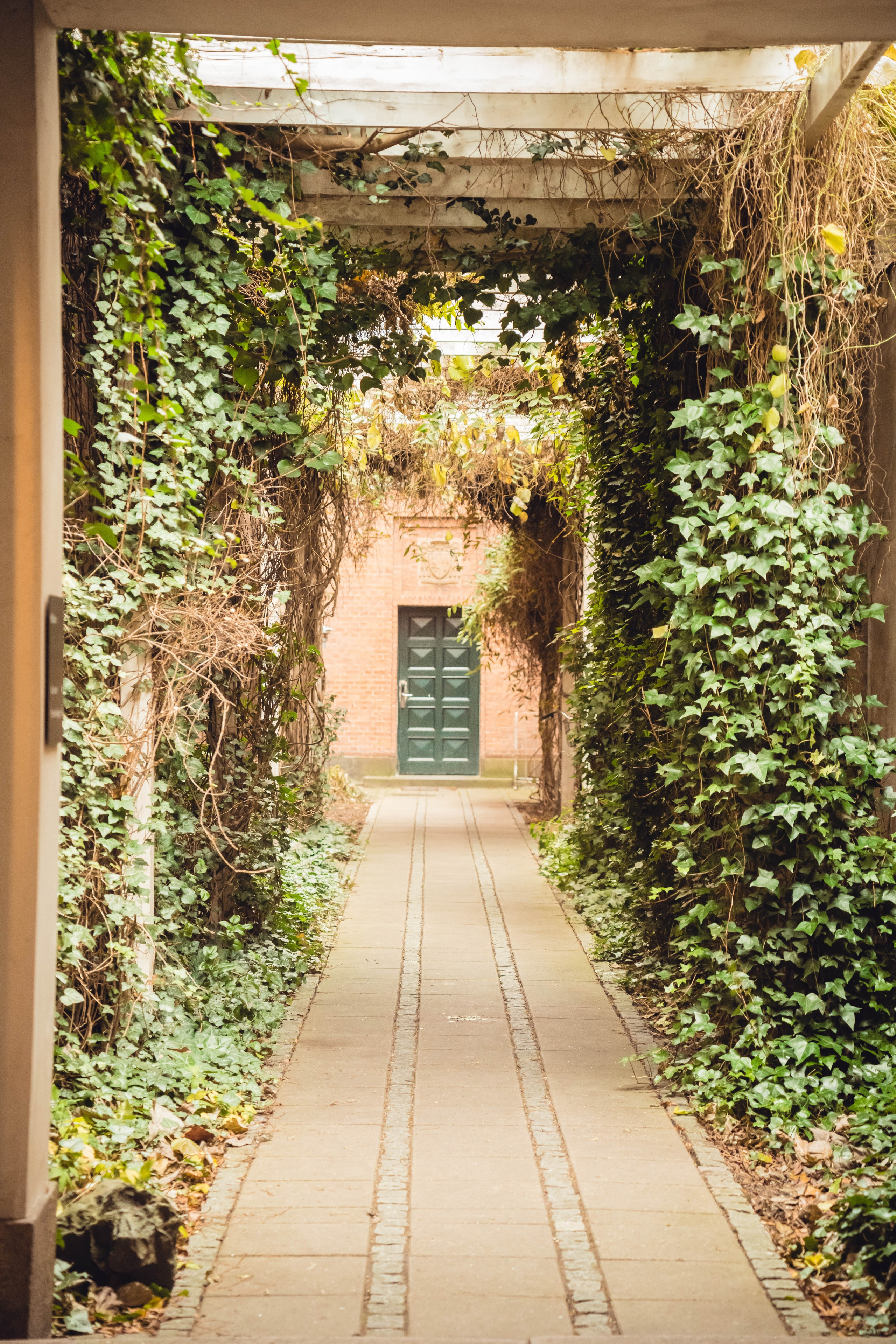 Дания. Фотографирую для себя, своей семьи и друзей!