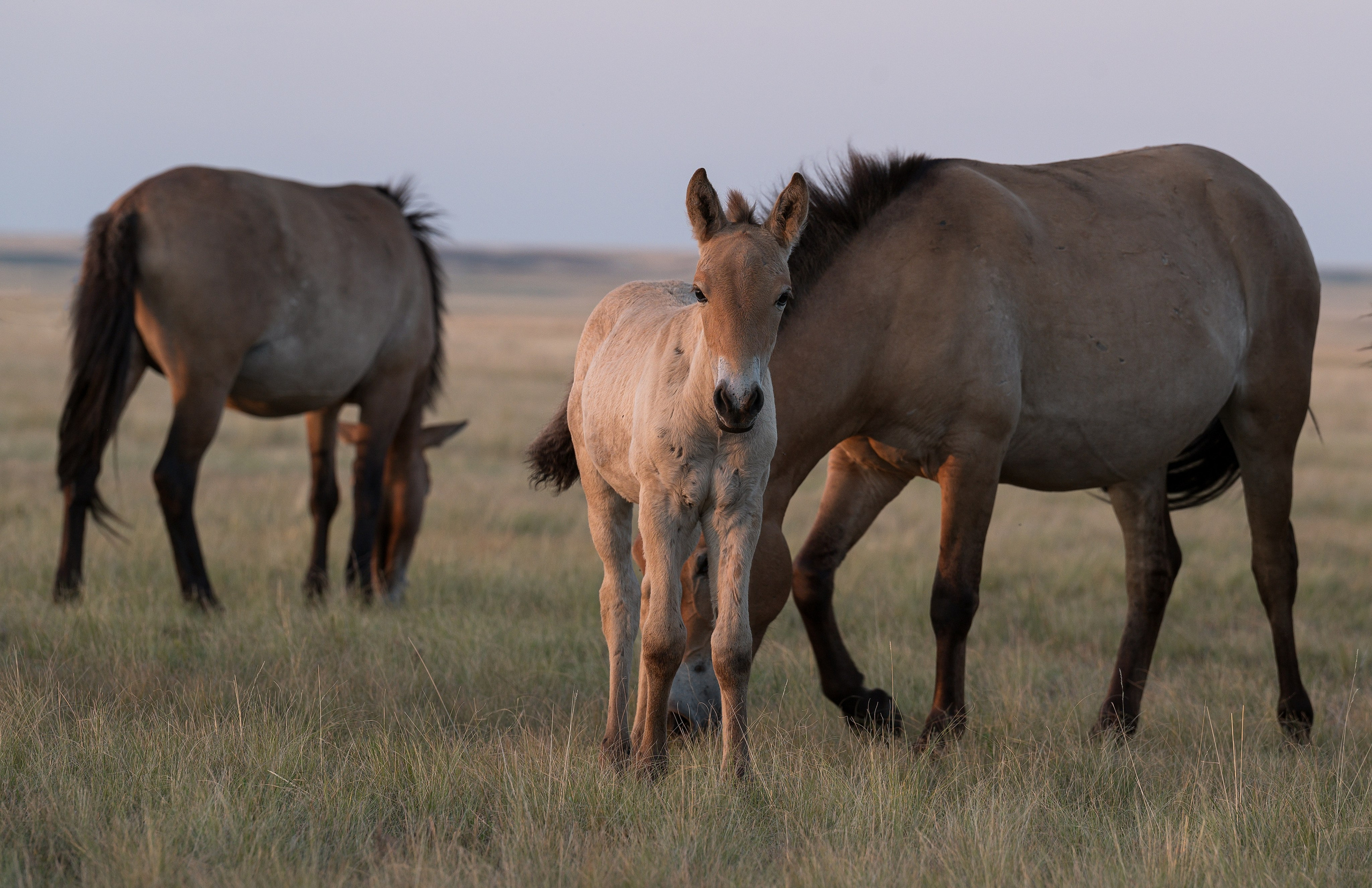 В природе. Портретный фотограф в Челябинске Катерина Руди