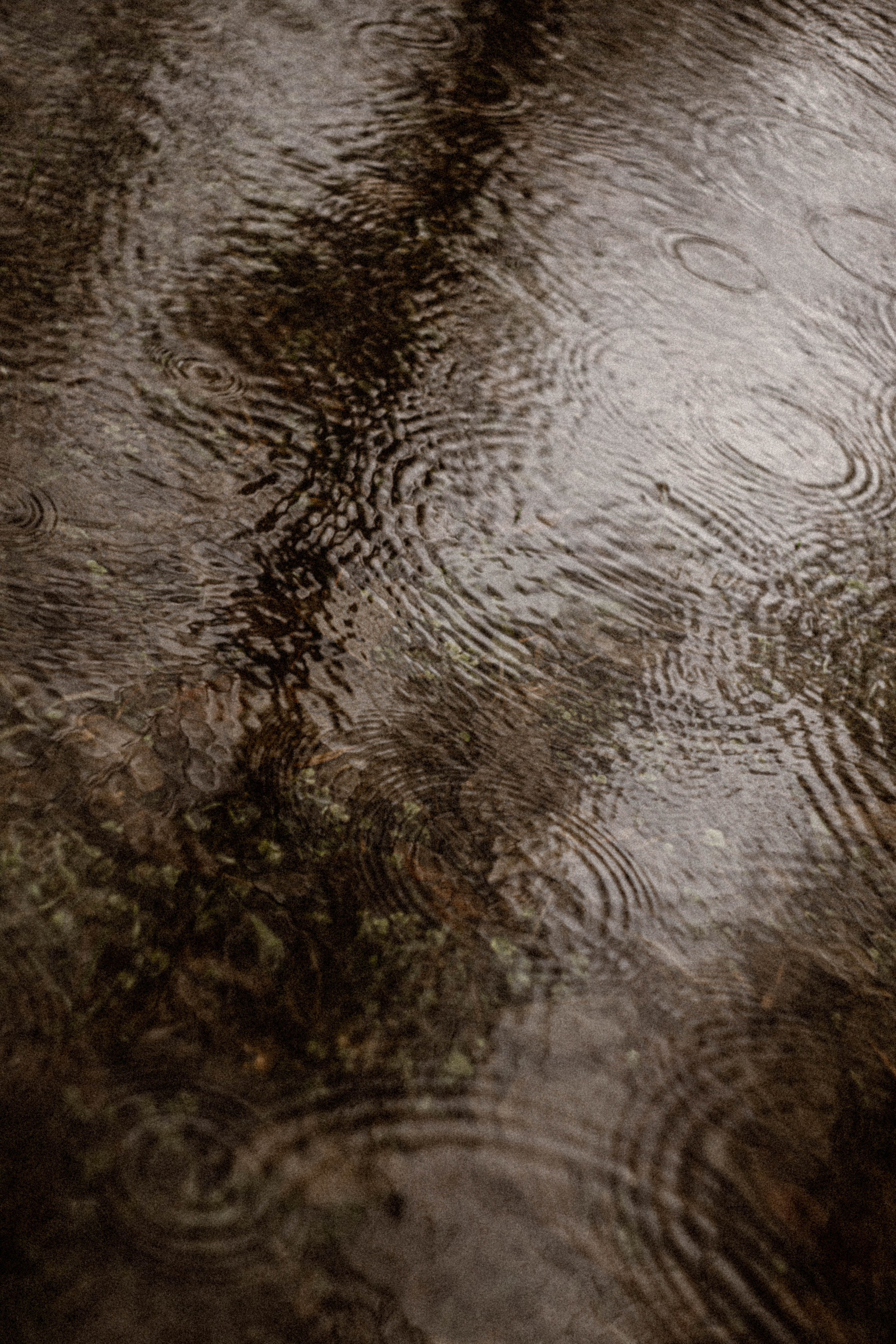 Анна Парк 1 МАЯ. Фотограф в Нижнем Новгороде