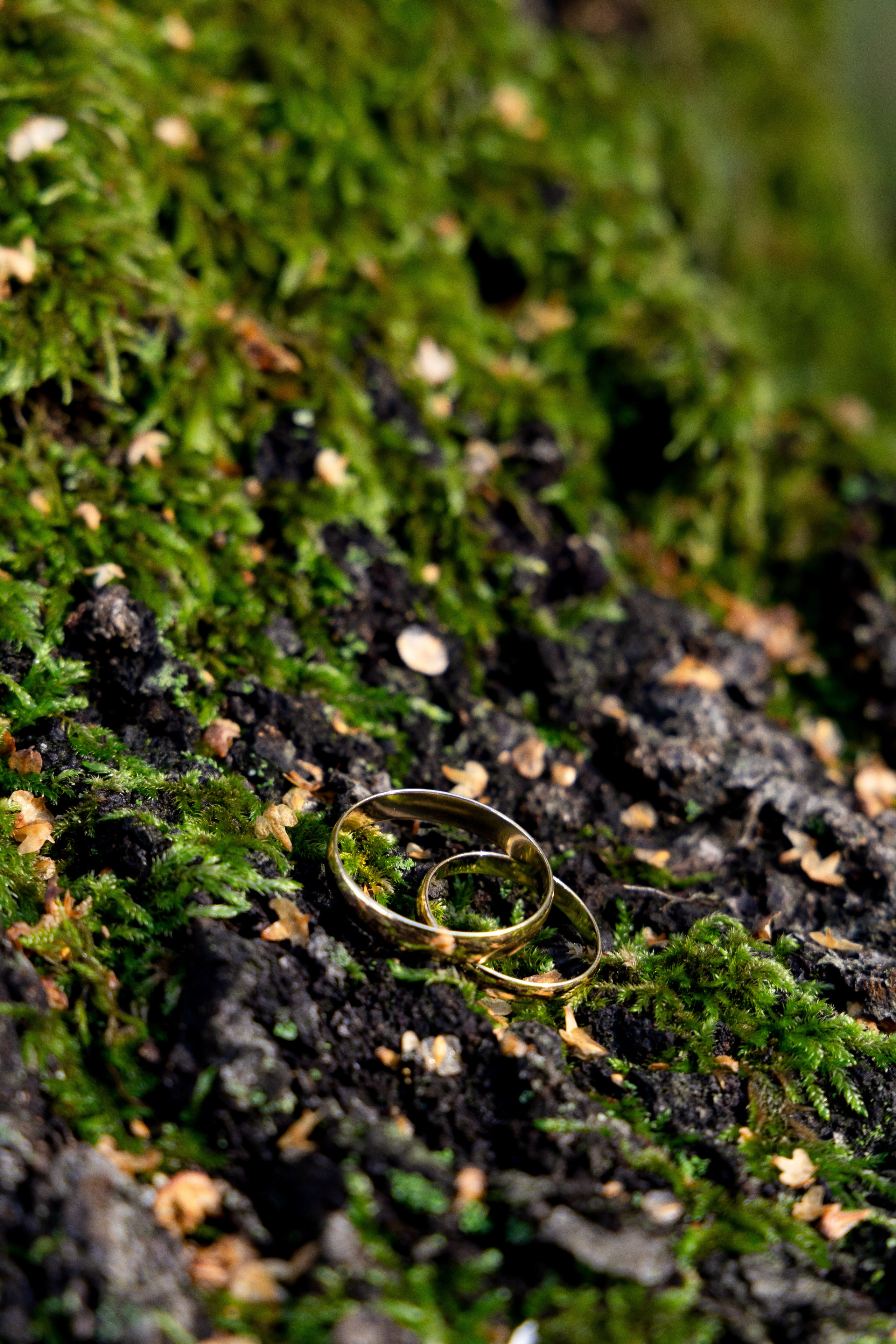 Свадьба Зои & Сергея | прогулка у моря. Фотограф в Калининграде Сокирко Светлана