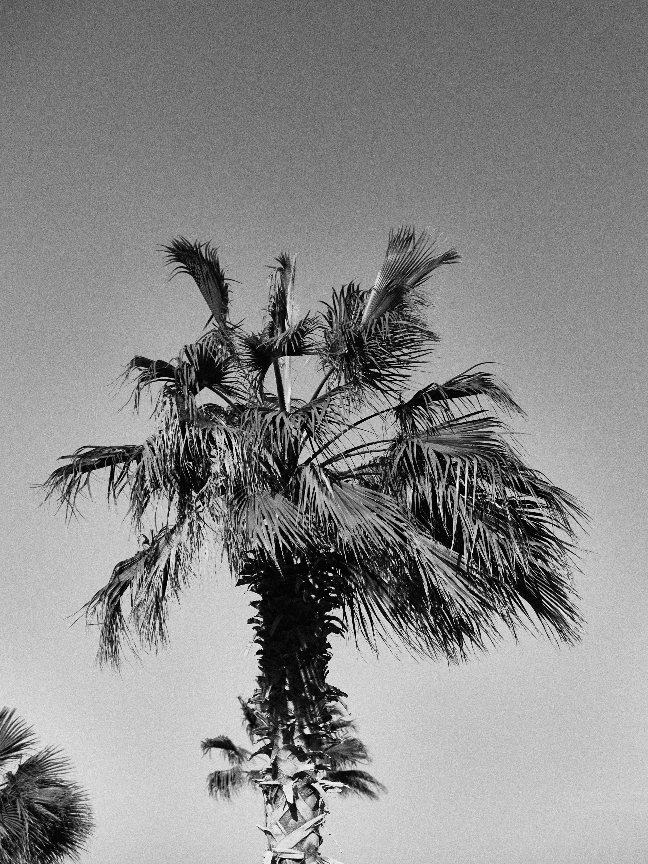 B&W. Jorgis — фотограф в Хургаде / обучение фотографии