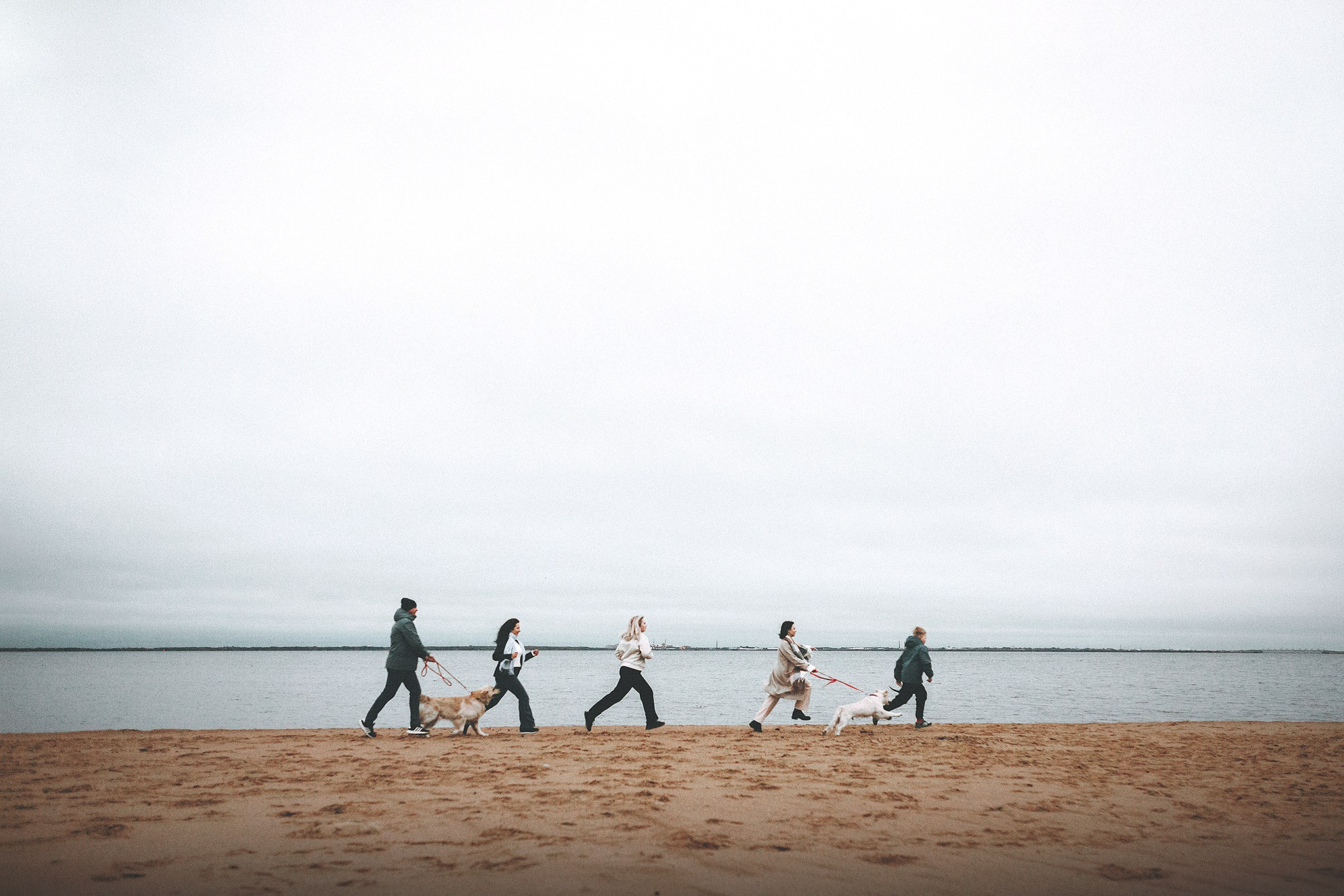 Барли, Фортис. Фотограф-анималист • love-story • Санкт-Петербург