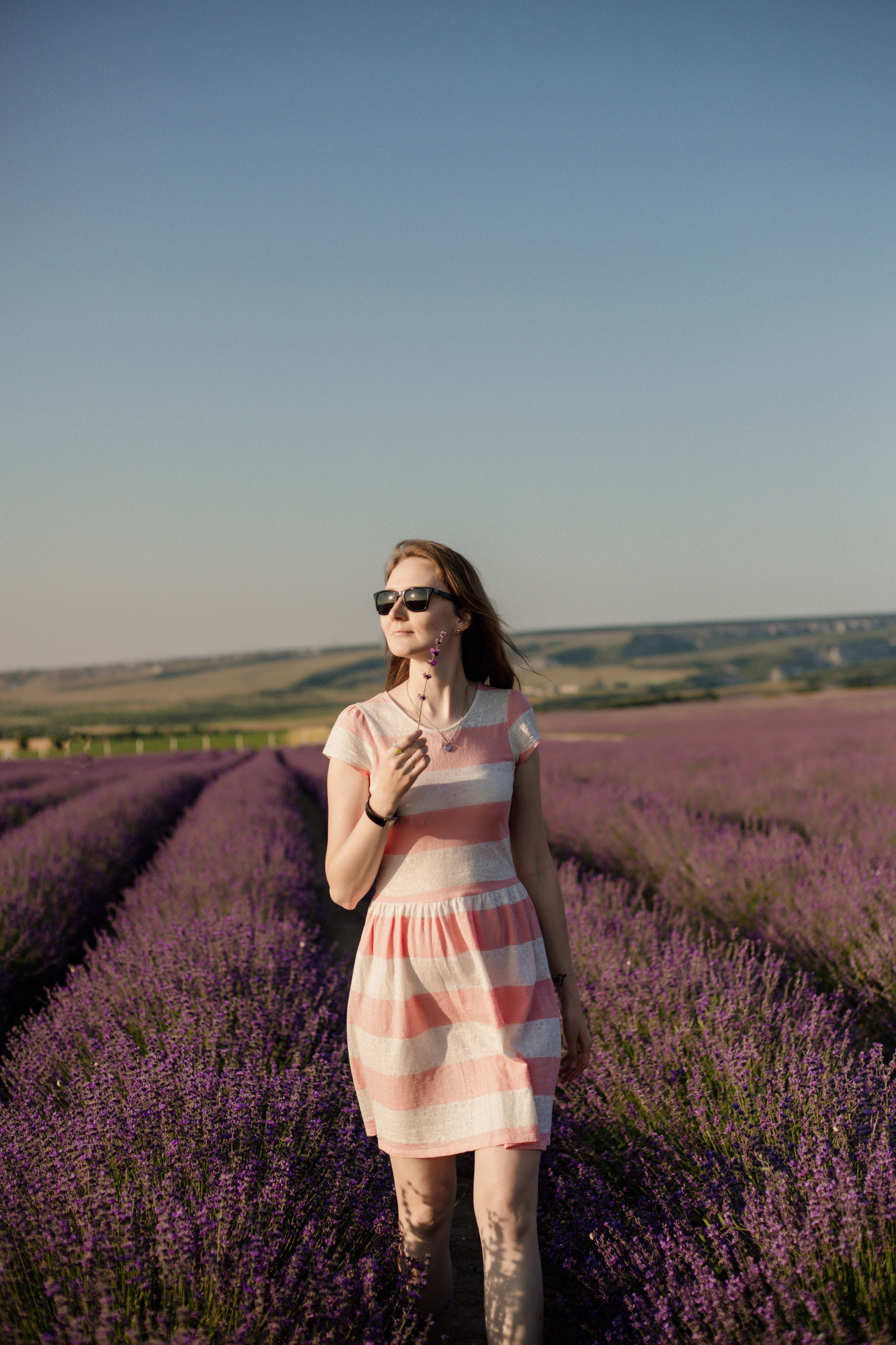 Лаванда. Фотограф и Видеограф Севастополь Крым